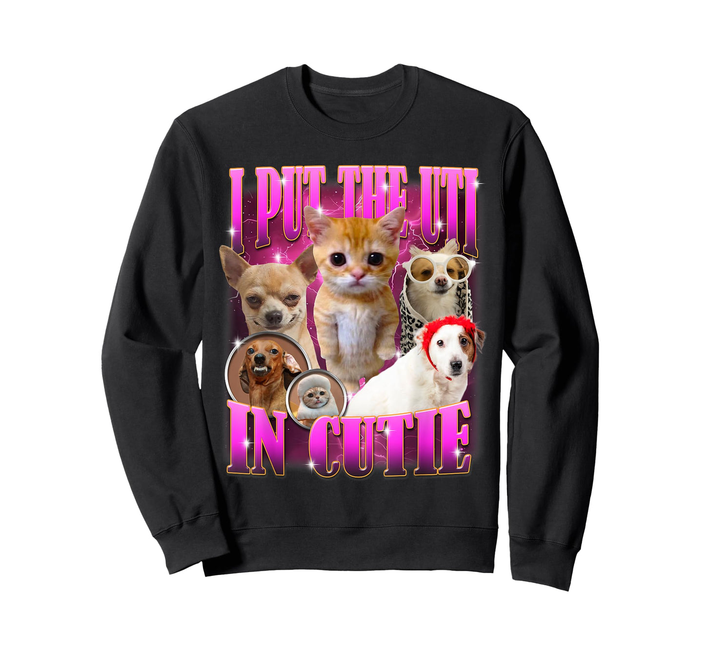 I Put The Uti In Cutie Cat Kitten Dogs Funny Humor Meme T-Shirt