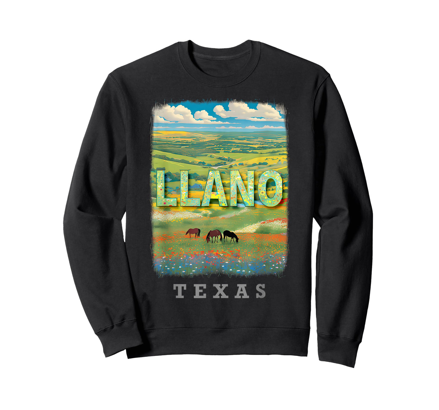 Llano Texas TX Hill Country Charm SD869 T-Shirt