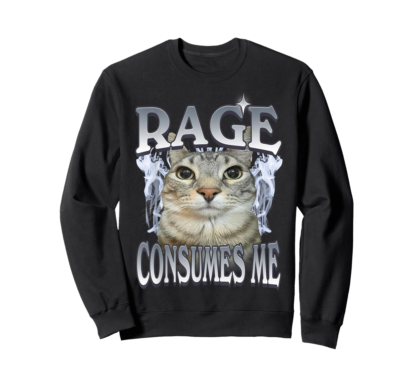 Rage Consumes Me Cat Meme Vintage Feline Funny Artwork T-Shirt