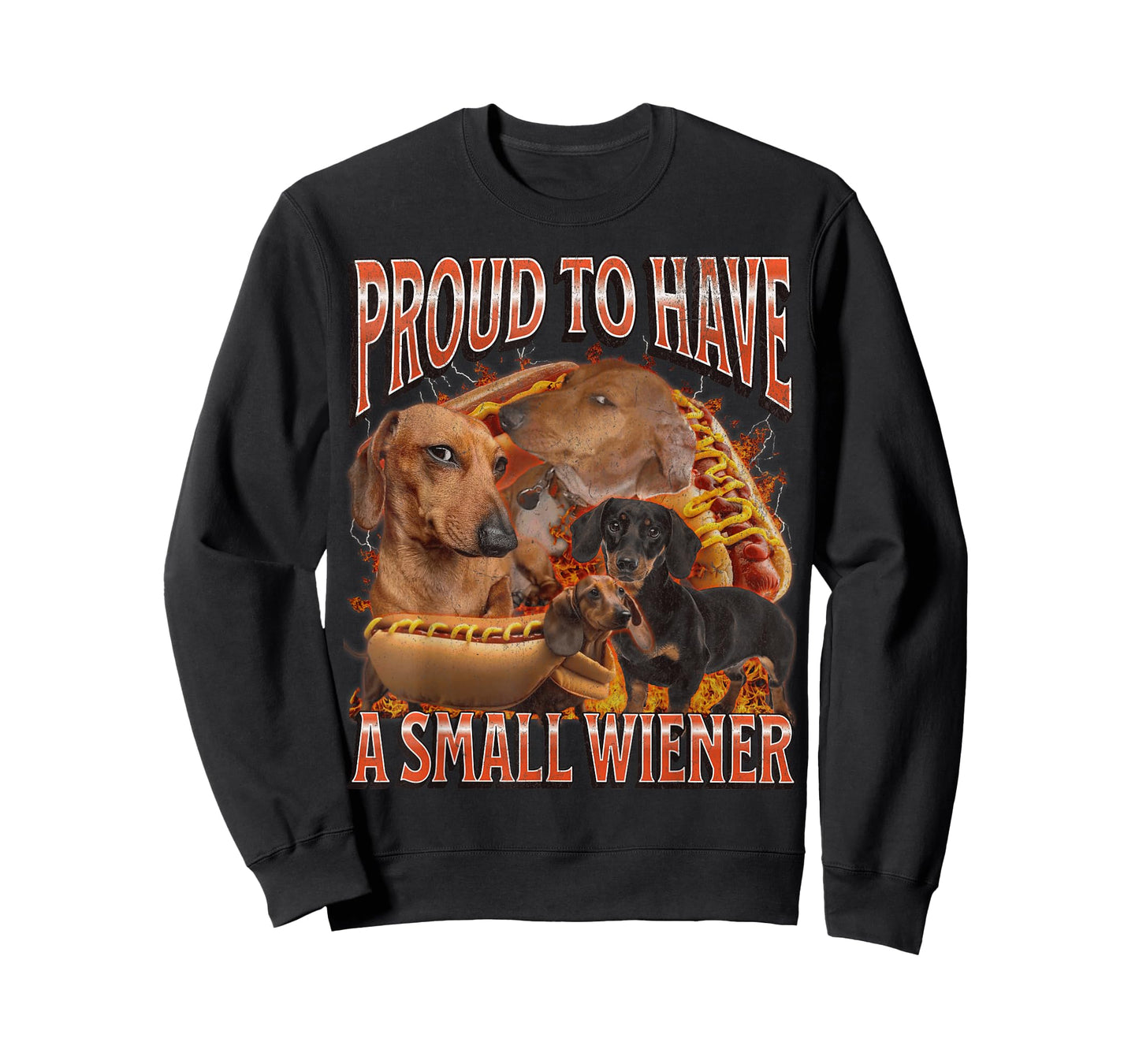 Proud To Have A Small Wiener Funny Offensive Dachshund T-Shirt