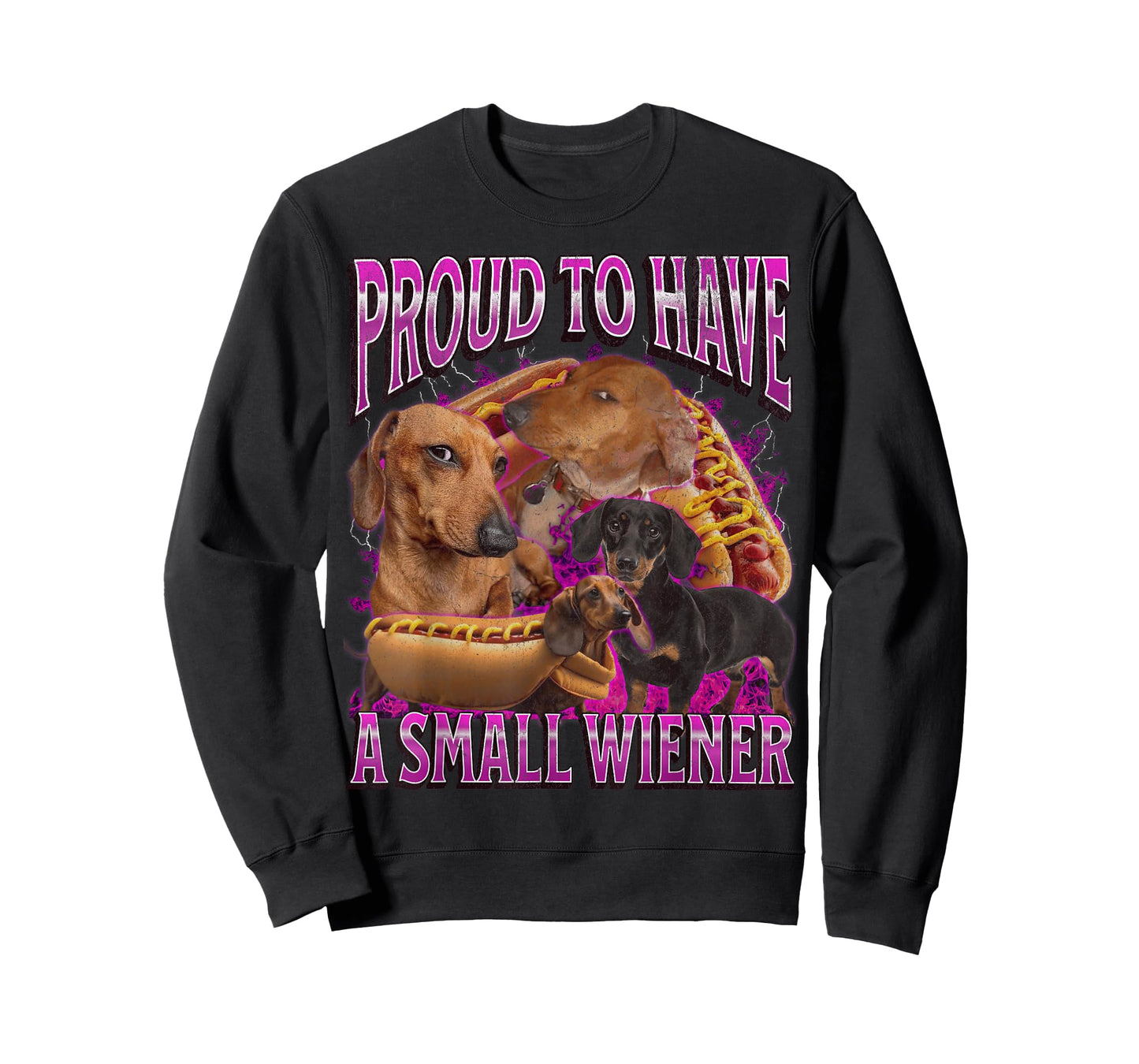 Proud to Have A Small Wiener Funny Offensive Dachshund T-Shirt