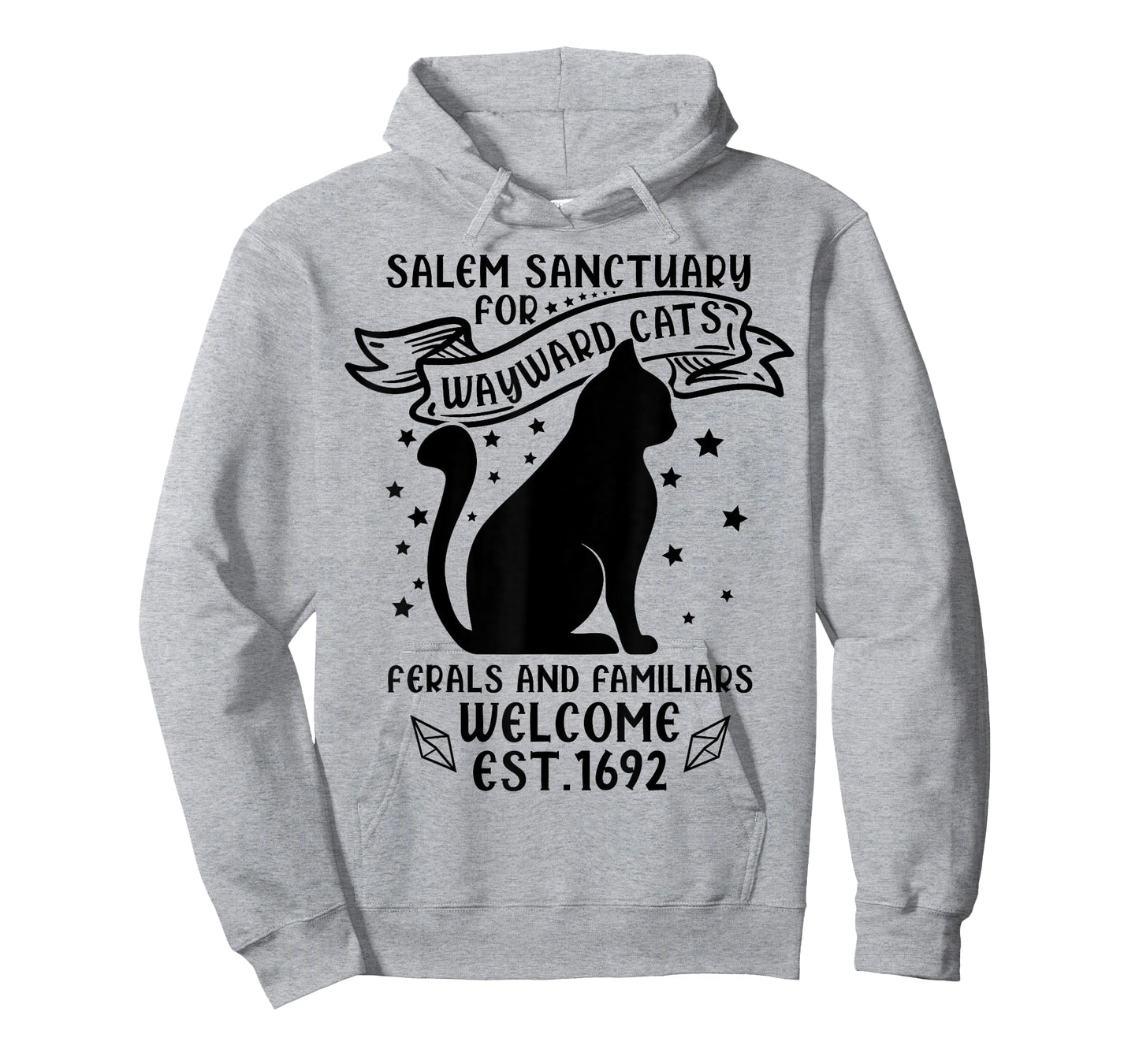 Funny Witch Salem Home for Wayward Black Cats 1692 Halloween T-Shirt