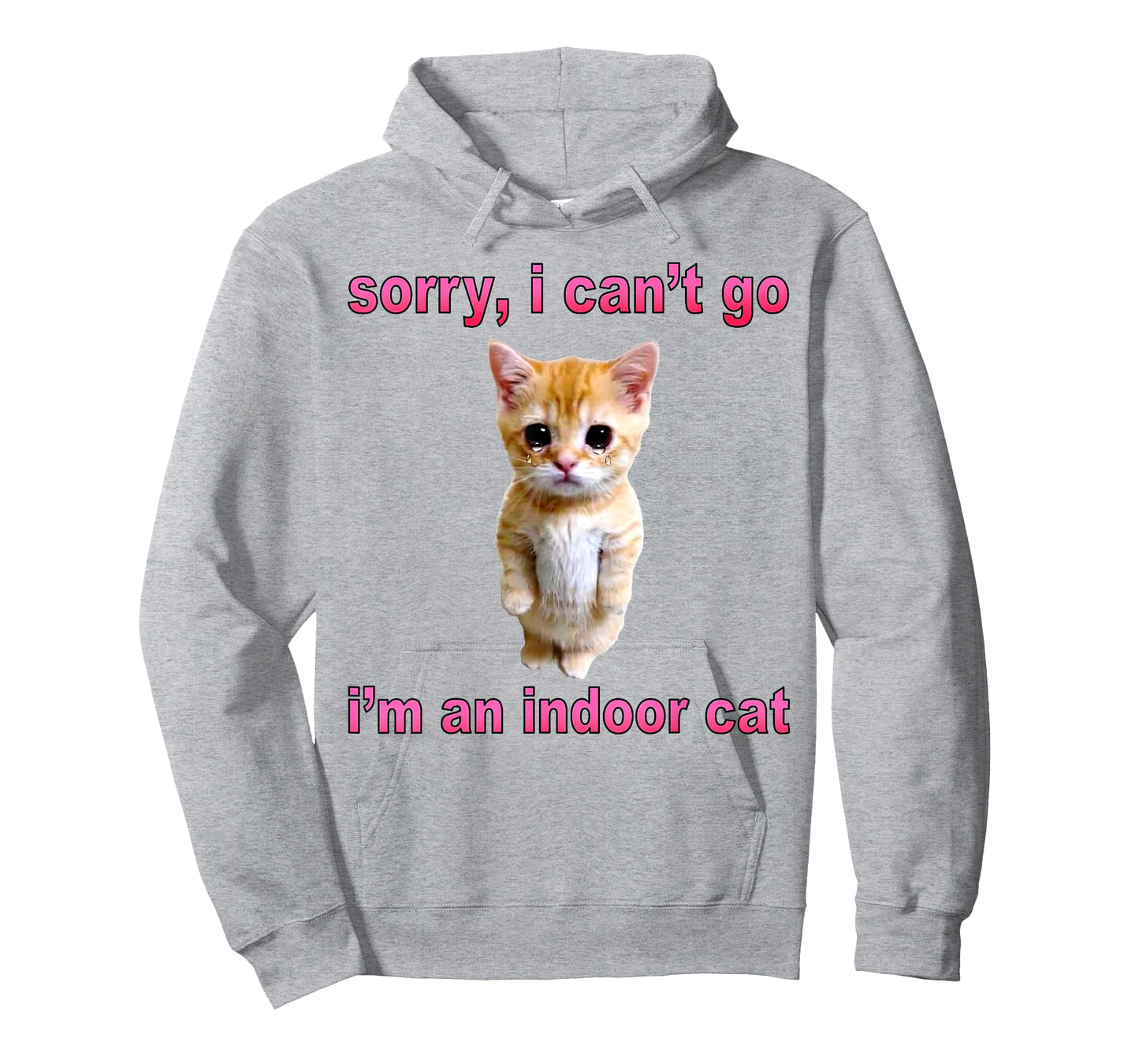 Sorry I Can't Go I'm an Indoor Cat Funny Saying Women Men T-Shirt