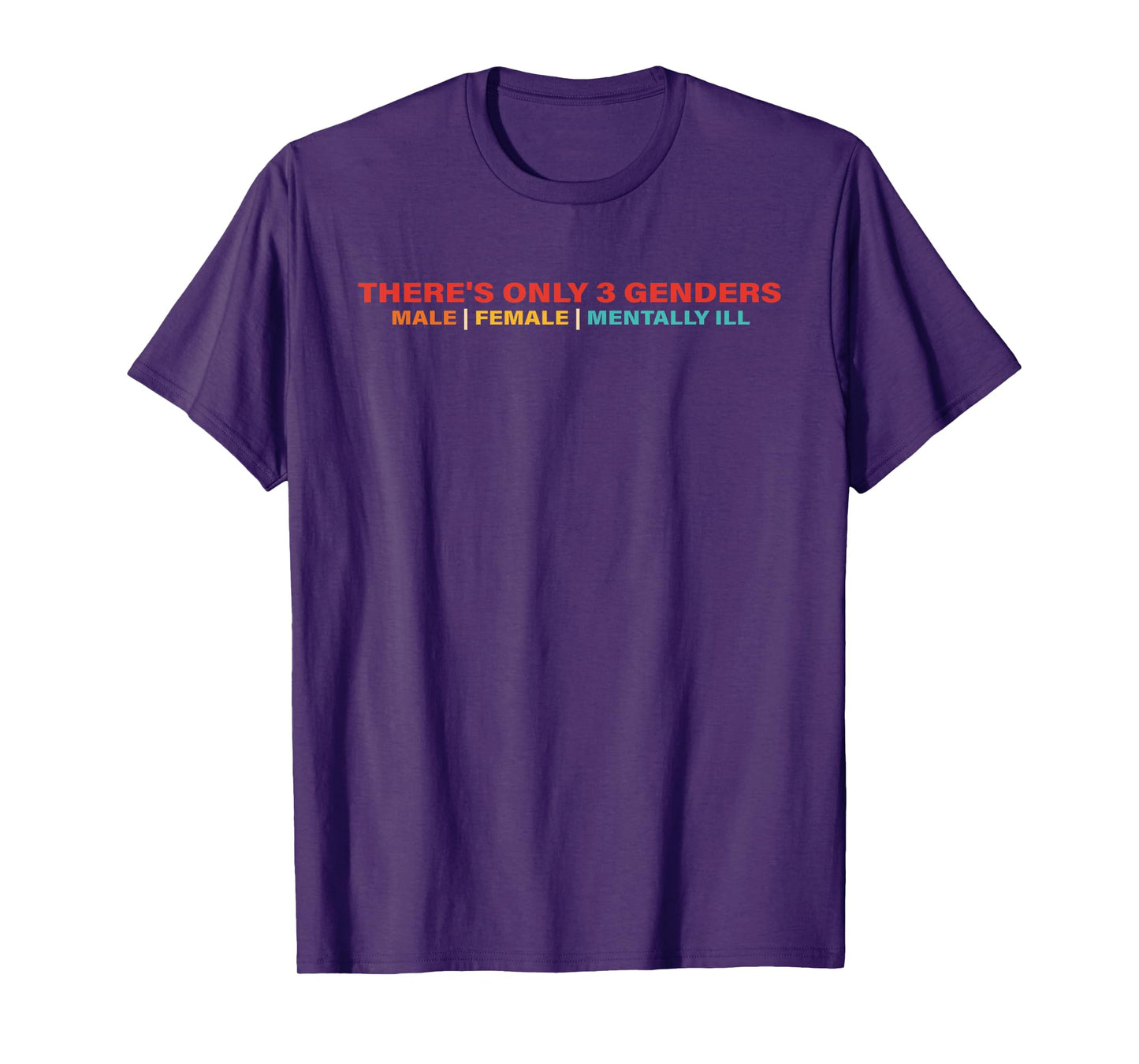There's Only 3 Genders Male Female Mentally Ill T-Shirt