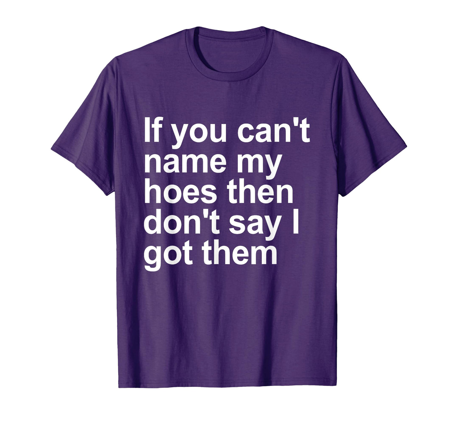 If You Can't Name My Hoes Then Don't Say I Got Them Humor T-Shirt
