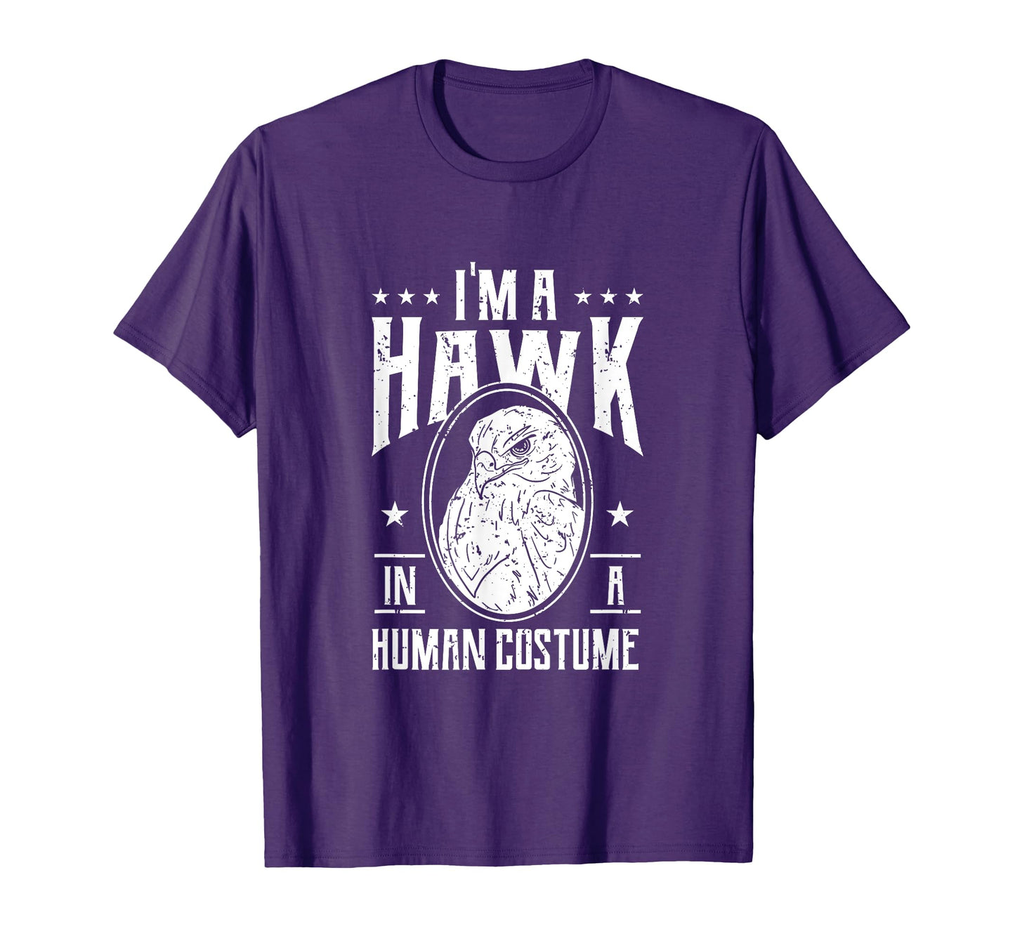 Hawk Bird Lover Funny Hawk Sarcasm Halloween Costume Party T-Shirt