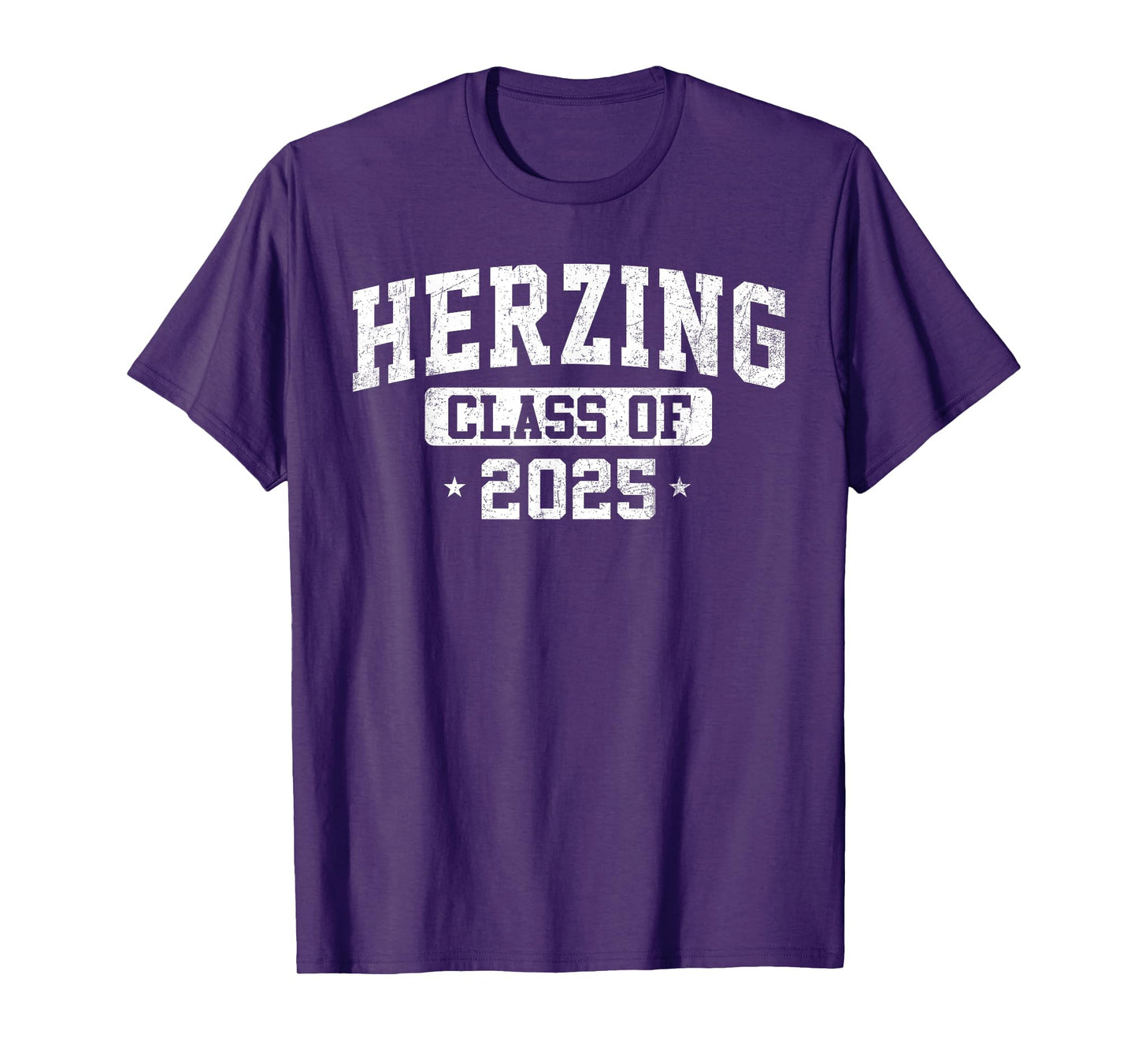 Herzing University Class of 2025 Graduate Arch Vintage T-Shirt
