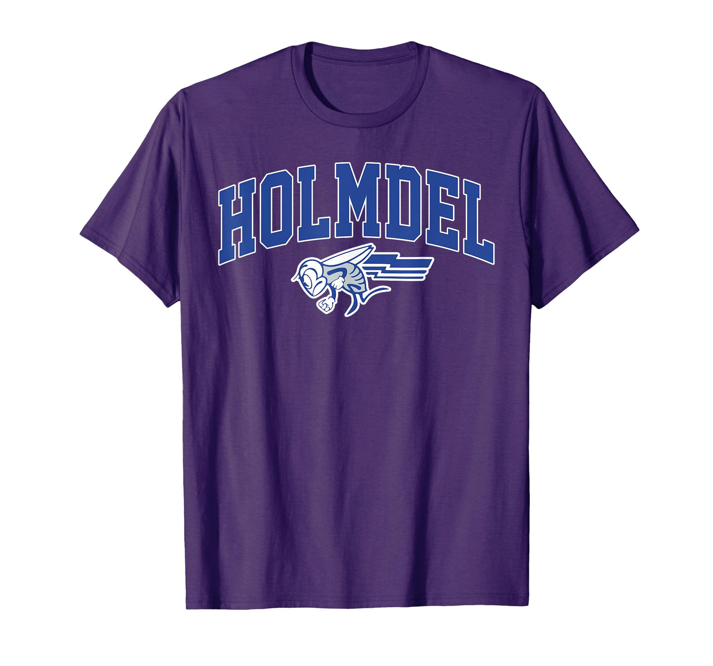 Holmdel High School Arch Vintage Design for Men Women T-Shirt