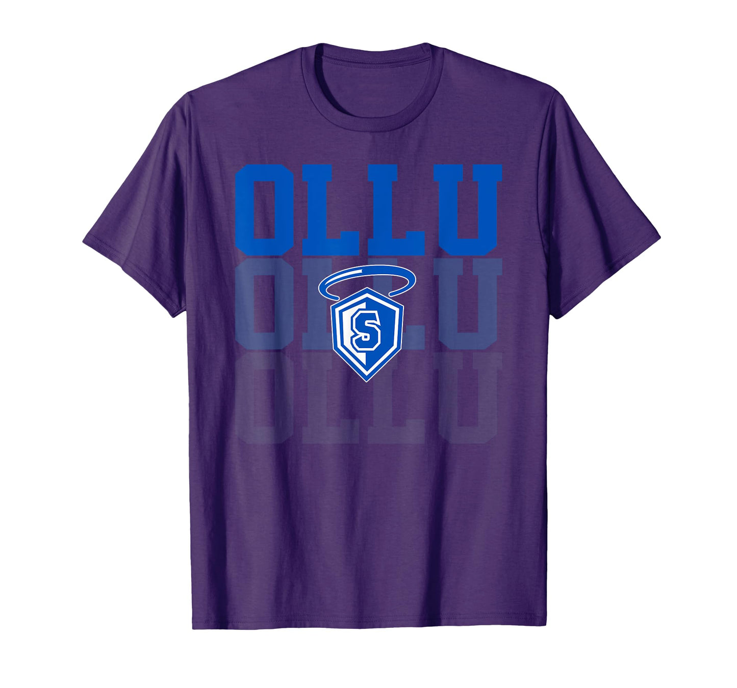 Our Lady of the Lake Tee University Retro Vintage Sports T-Shirt