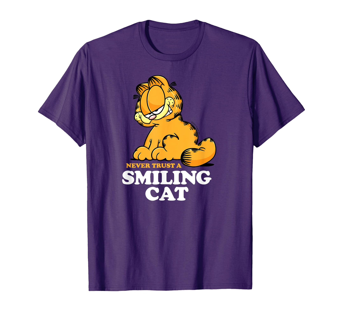 Garfield - Never Trust A Smiling Cat Sarcastic Graphic T-Shirt