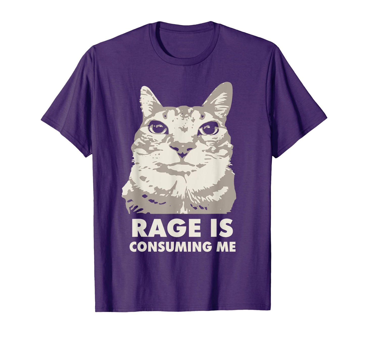 Rage Is Consuming Me Angry Cat Meme Sarcasm Funny T-Shirt