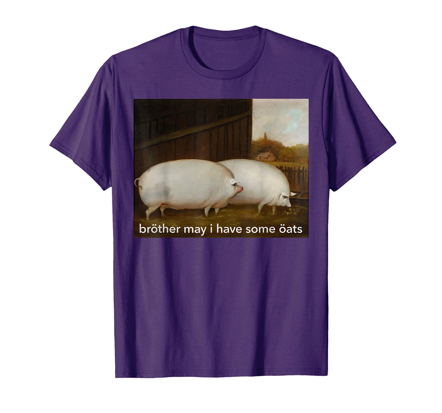 Funny Meme Brother May I Have Some Oats Tee T-Shirt