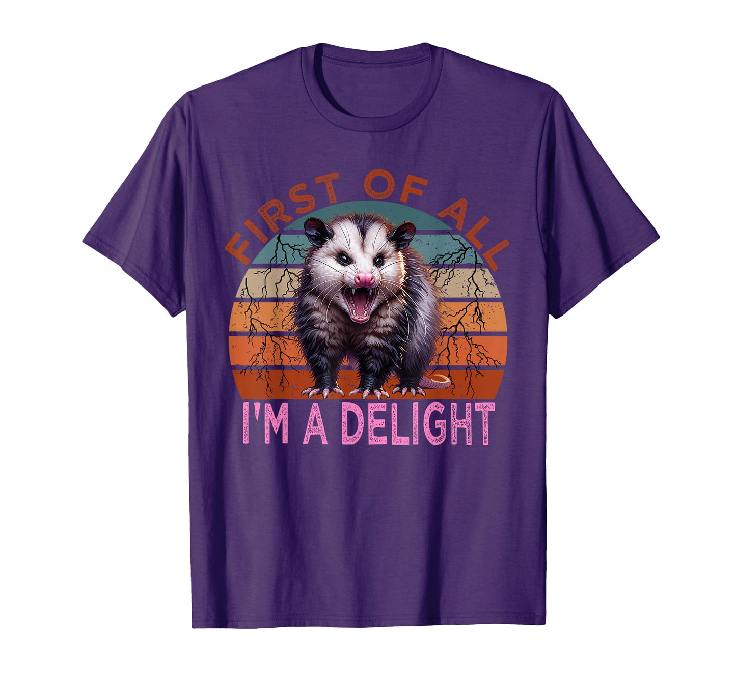 First of all I'm a Delight Sarcastic Angry Possum Lover T-Shirt