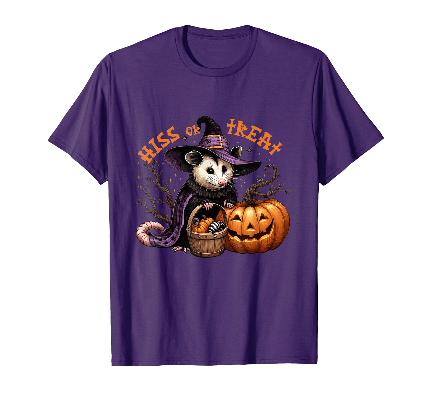 Hiss Or Treat Halloween Pumpkin Witch Opossum Scary Possum T-Shirt