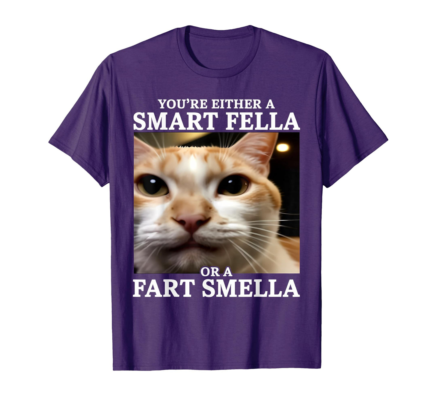 You're Either a Smart Fella or a Fart Smella Funny Cat Meme T-Shirt