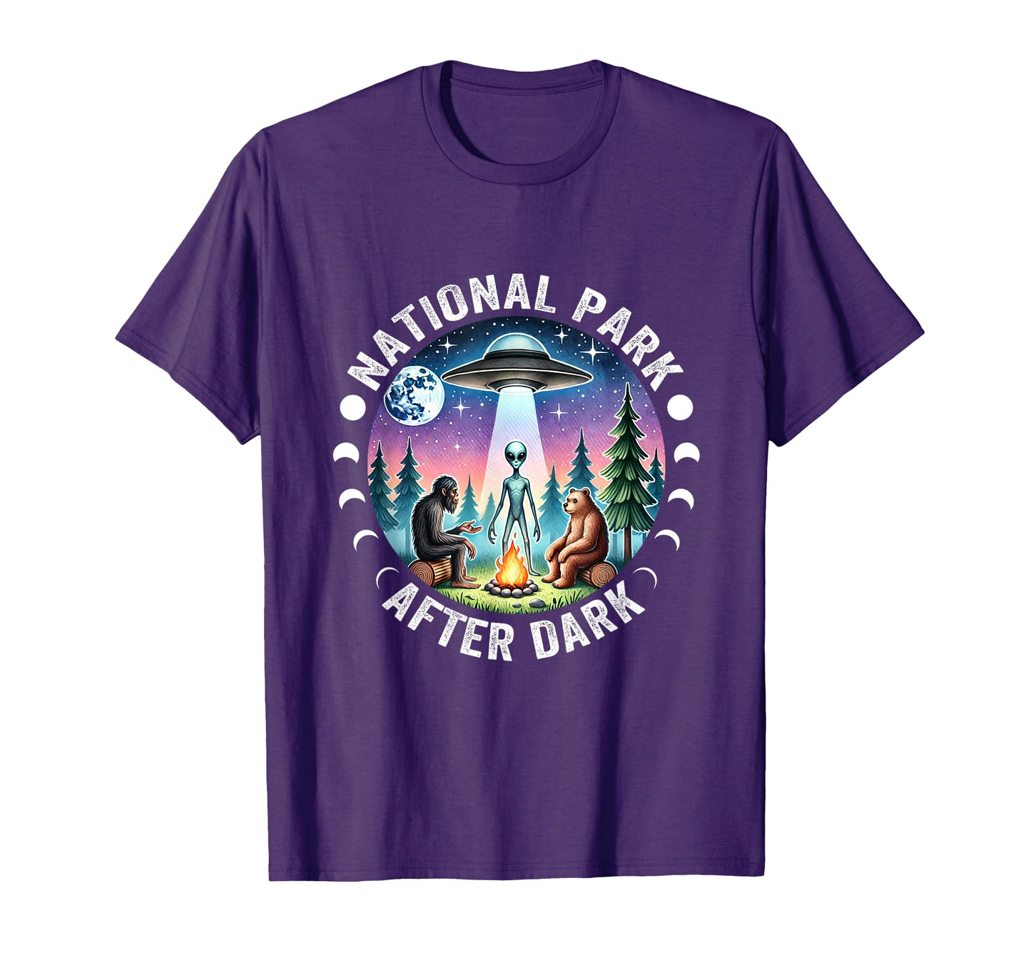 Vintage Retro Funny National Park After the Dark Big foot Alien Campfire T-Shirt, Small, Black