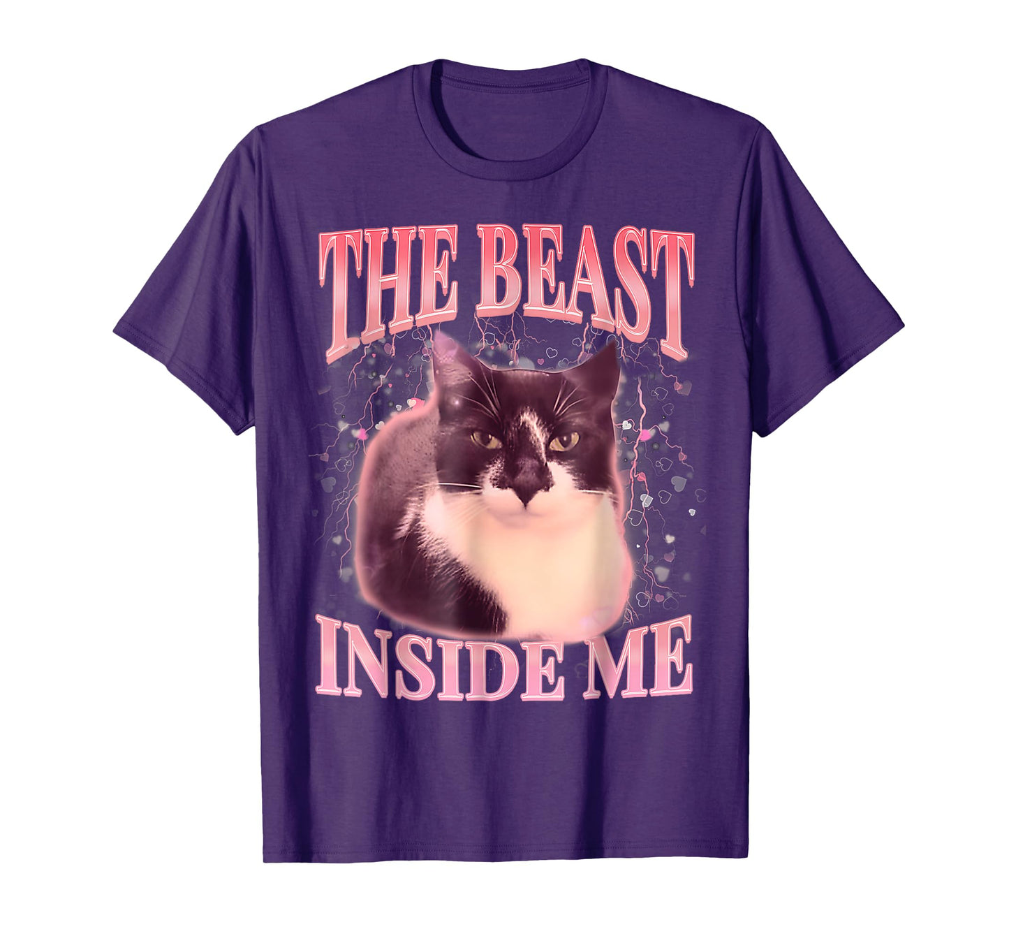 Funny The Beast Inside Me Silly Cat Meme Humor Saying T-Shirt