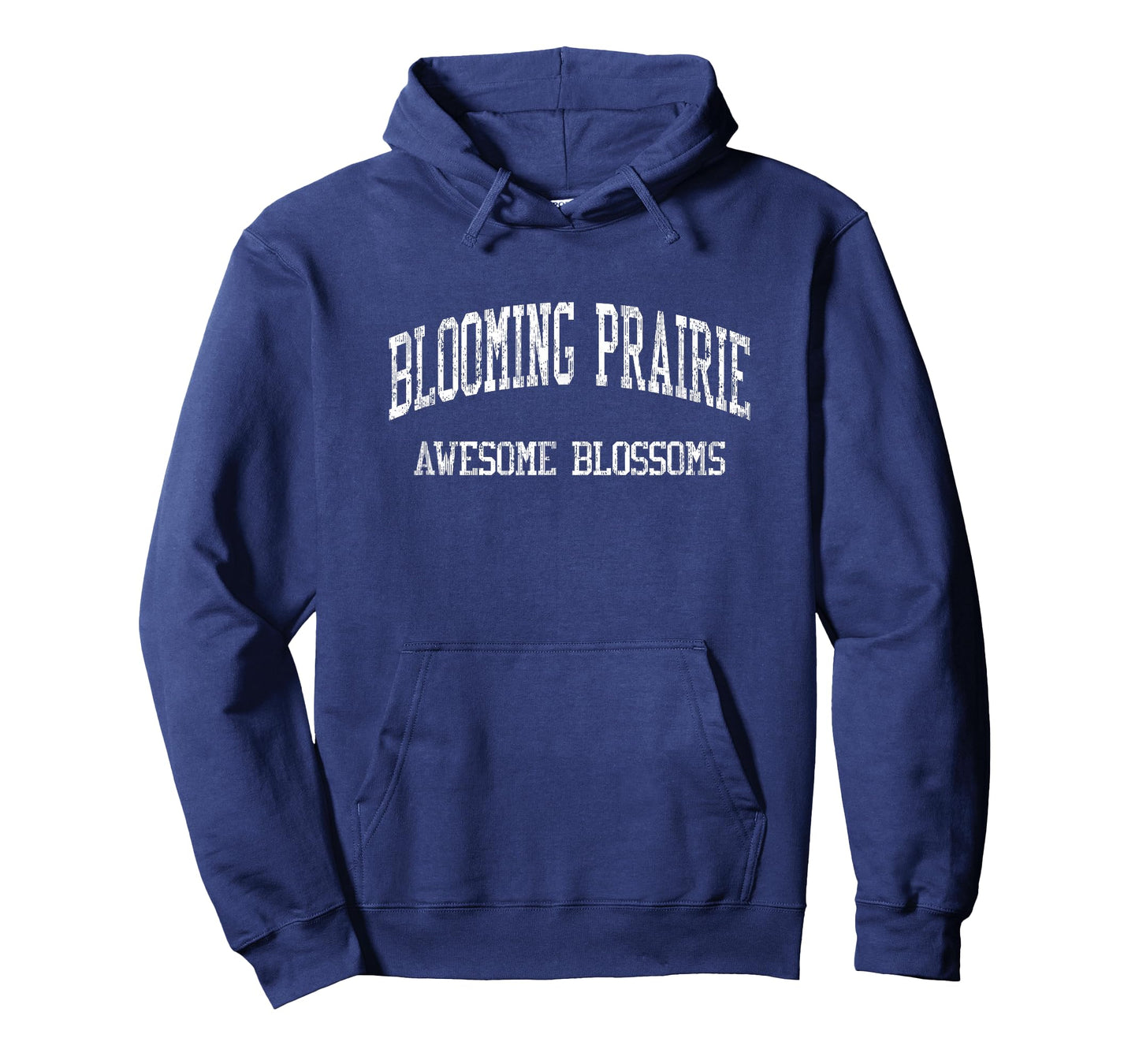 Blooming Prairie High School HS Blooming Prairie MN Vintage T-Shirt