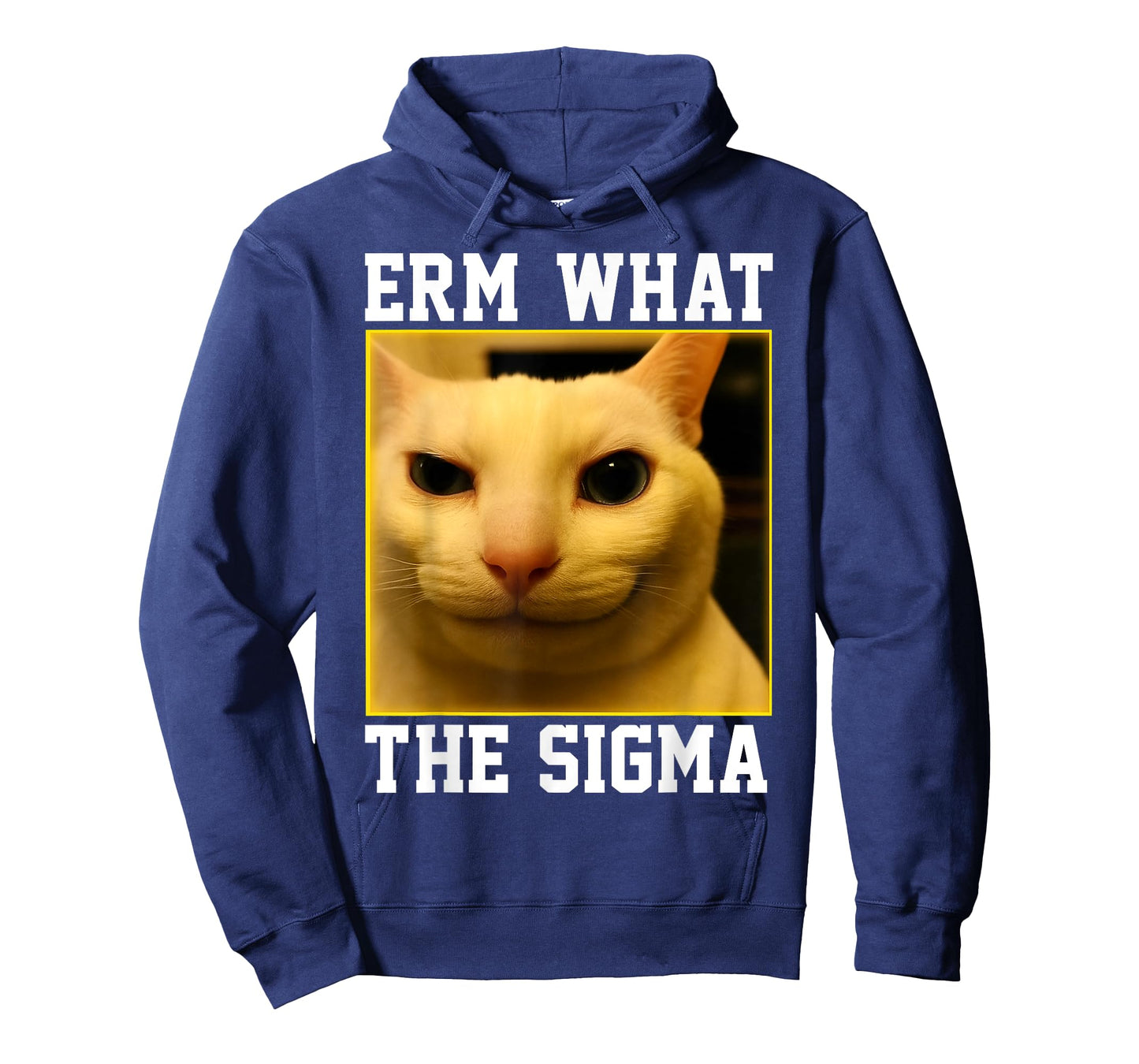 HUGvyn Funny Meme Cat: Erm, What The Sigma Silly Cat Humor T-Shirt