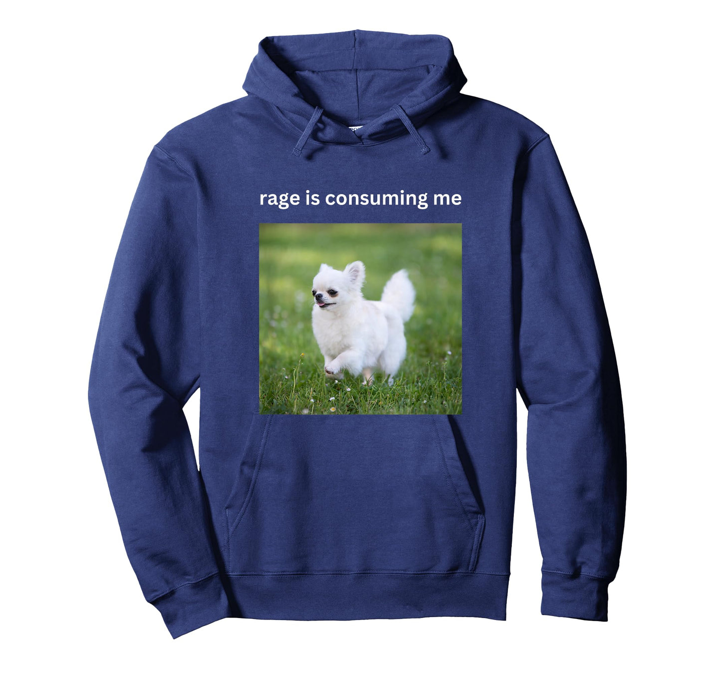 Rage Is Consuming Me Funny Cute Chihuahua Dog Silly Meme T-Shirt