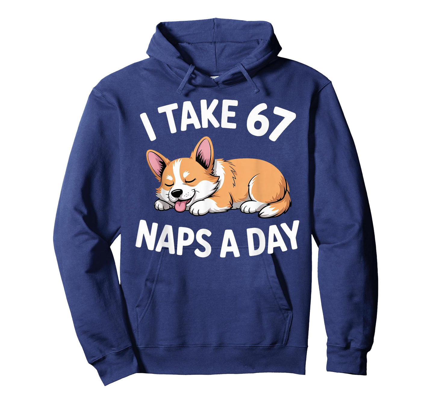 I Take 67 Naps A Day Funny Dog Corgi Six Seven Meme T-Shirt