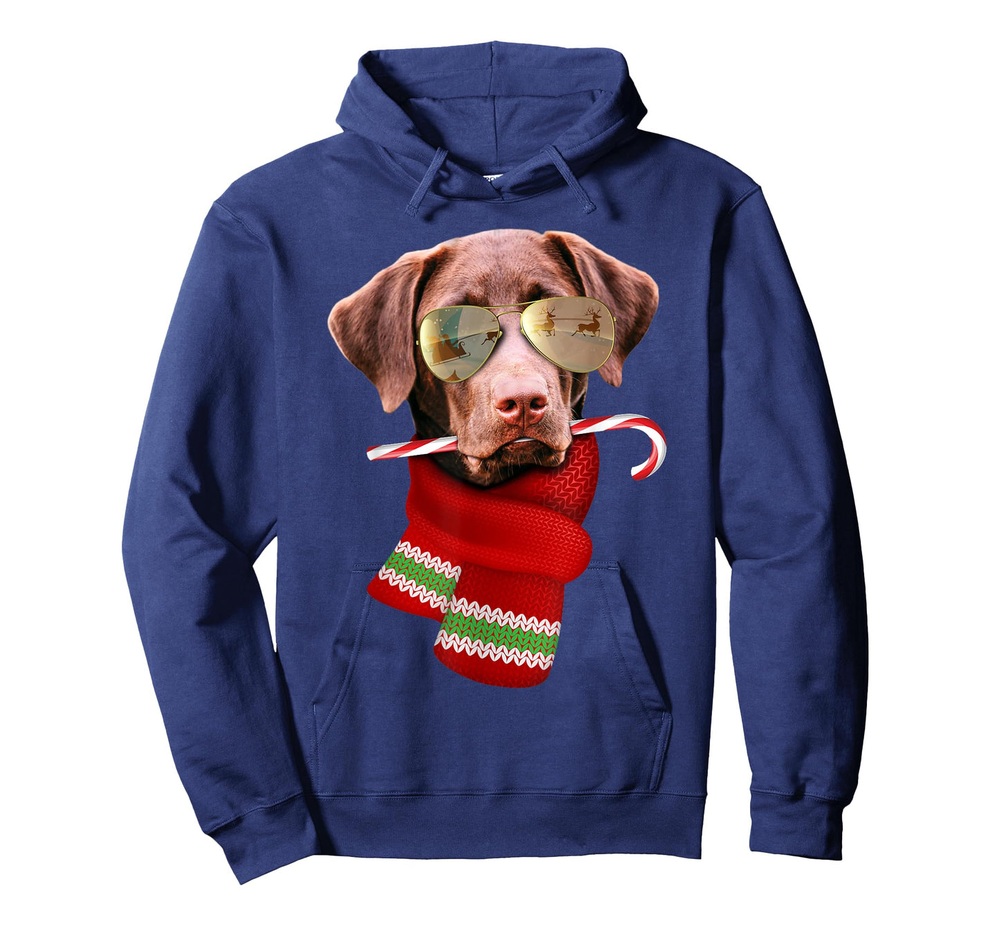 Chocolate Labrador Christmas Gift for Dog Lovers Sunglasses Men Women Kids T-Shirt