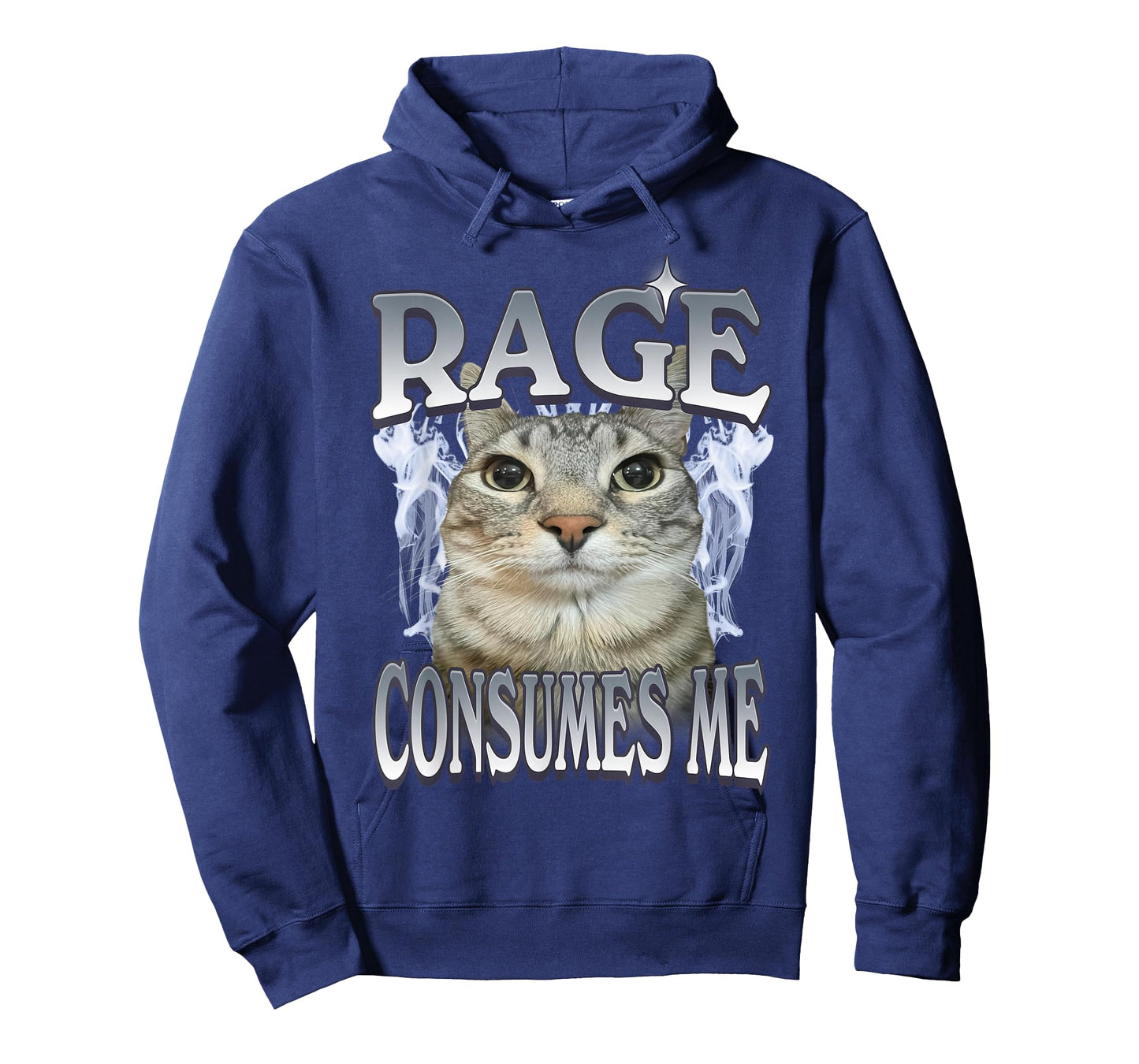 Rage Consumes Me Cat Meme Vintage Feline Funny Artwork T-Shirt