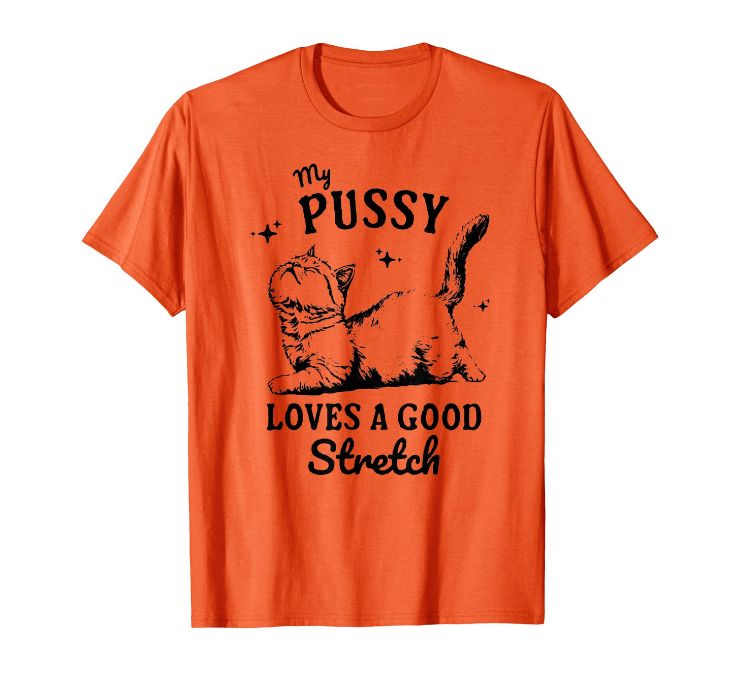 My Pussy Love A Good Stretch, Funny Raunchy Cat, Funny Meme T-Shirt