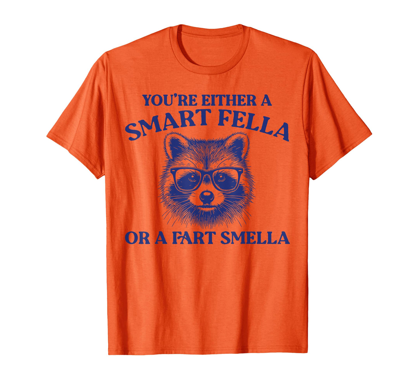 You're Either A Smart Fella Or A Fart Smella Vintage Raccoon T-Shirt