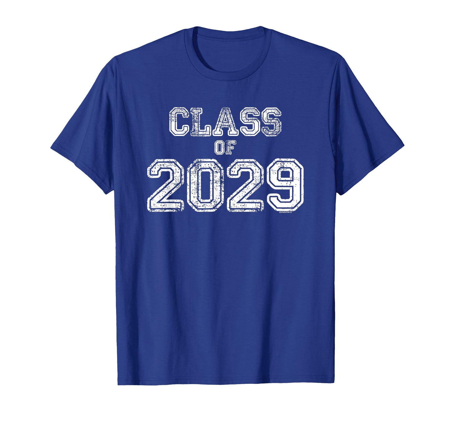 Class Of 2029 Shirt Senior 2029 Graduation Gift Him Her T-Shirt
