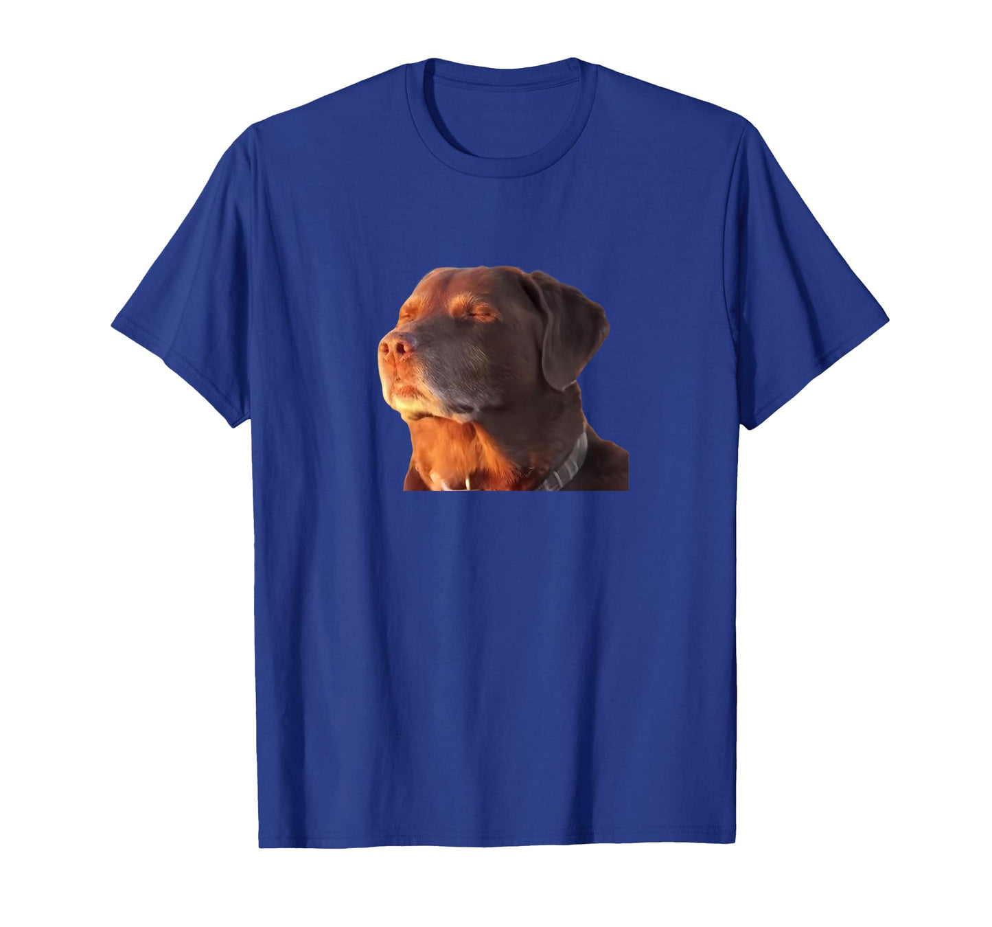 Dog Accepting His Fate Funny Men Women T-Shirt