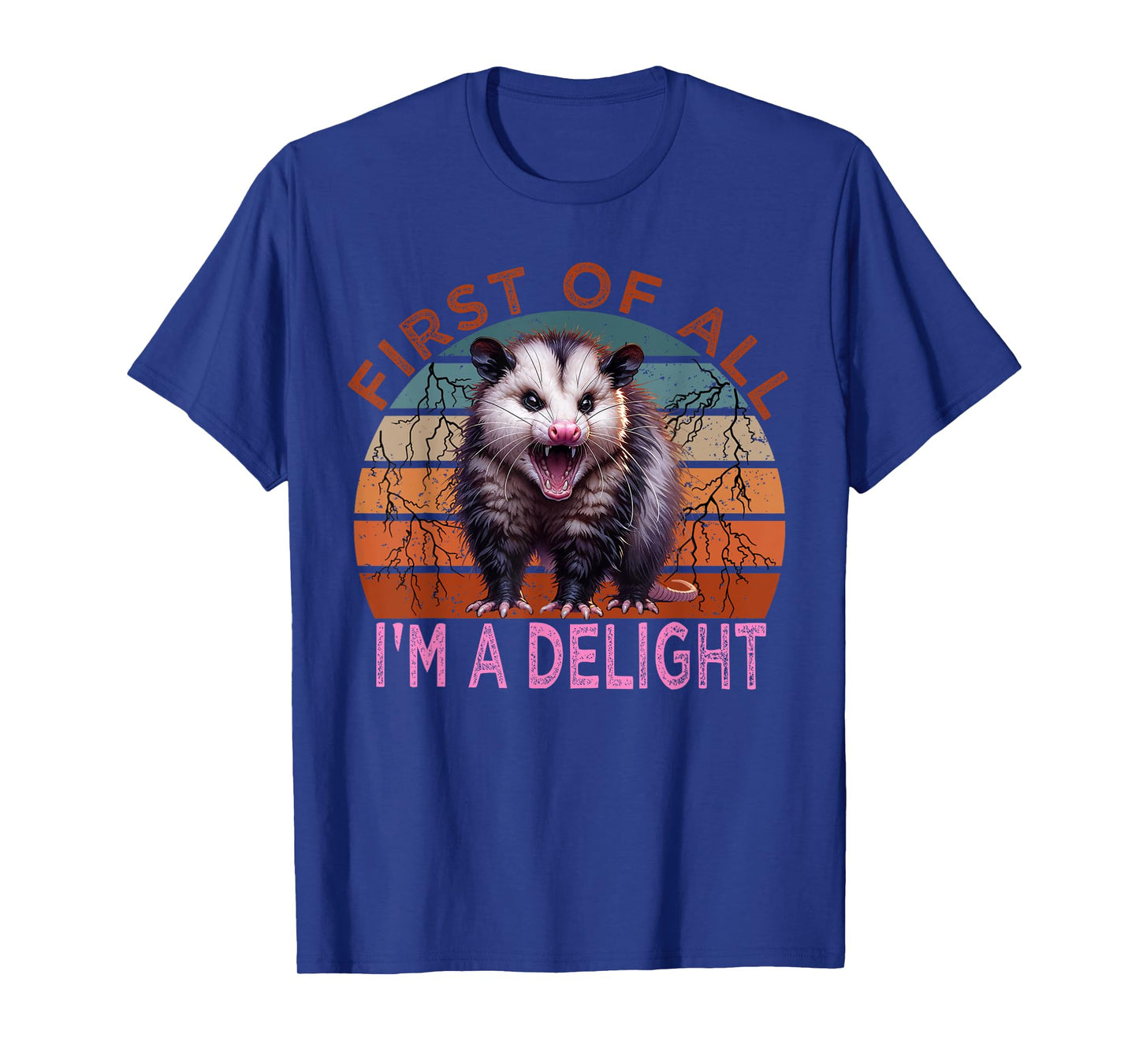 First of all I'm a Delight Sarcastic Angry Possum Lover T-Shirt