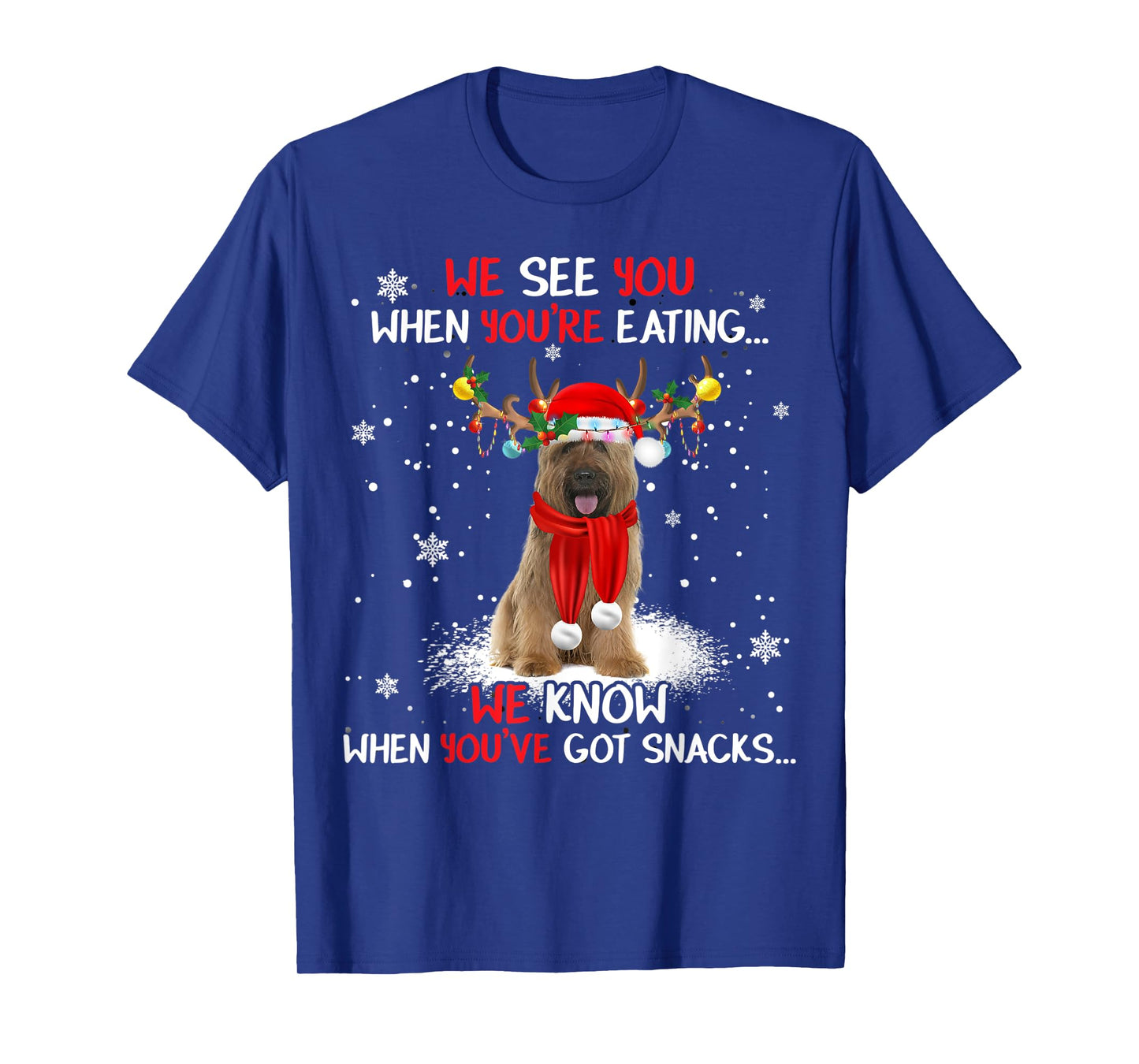 Santa Briard Reindeer Light Christmas Pajama T-Shirt
