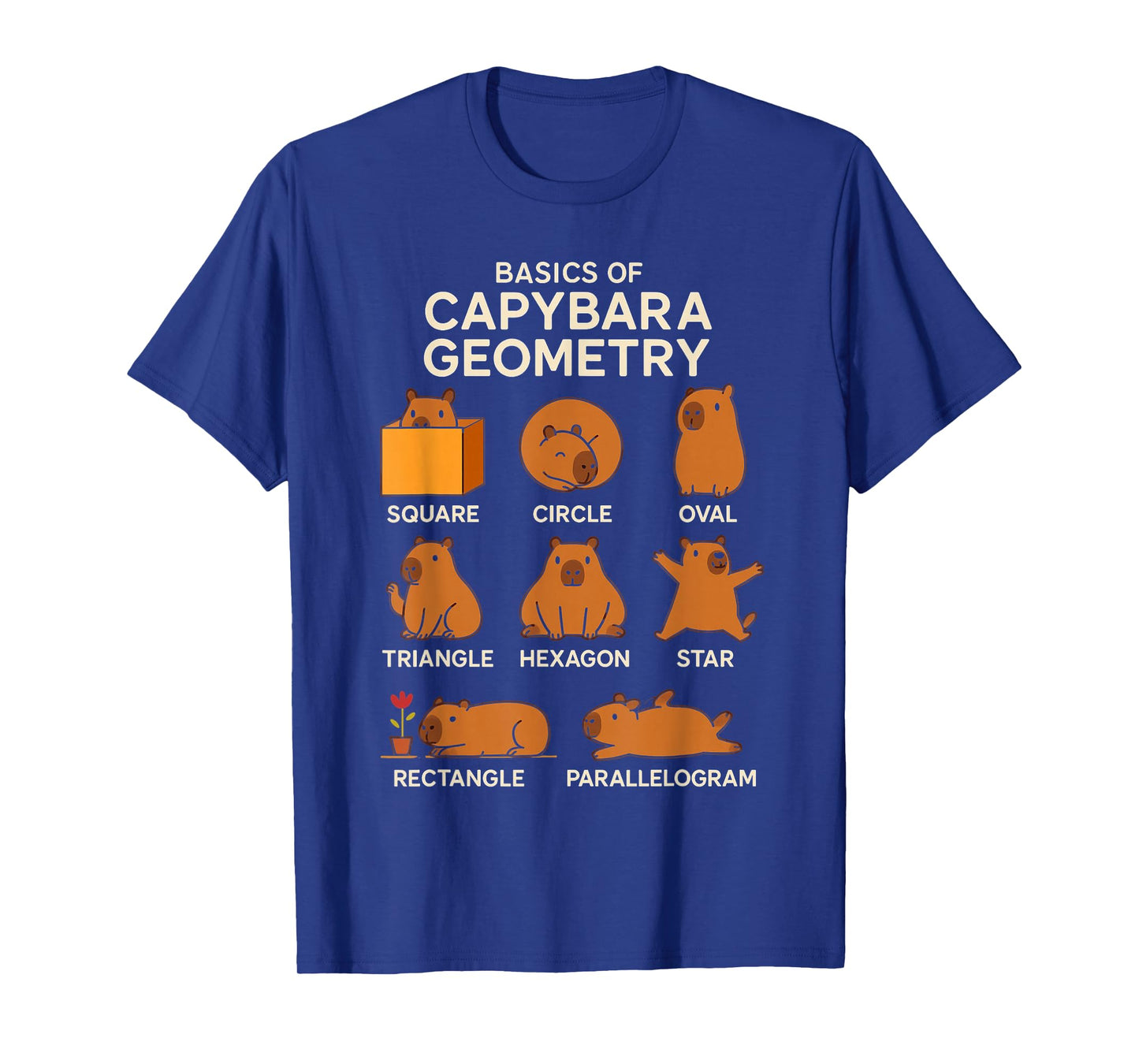 Basic Capybara Geometry Cute Capybara Lover Math School T-Shirt