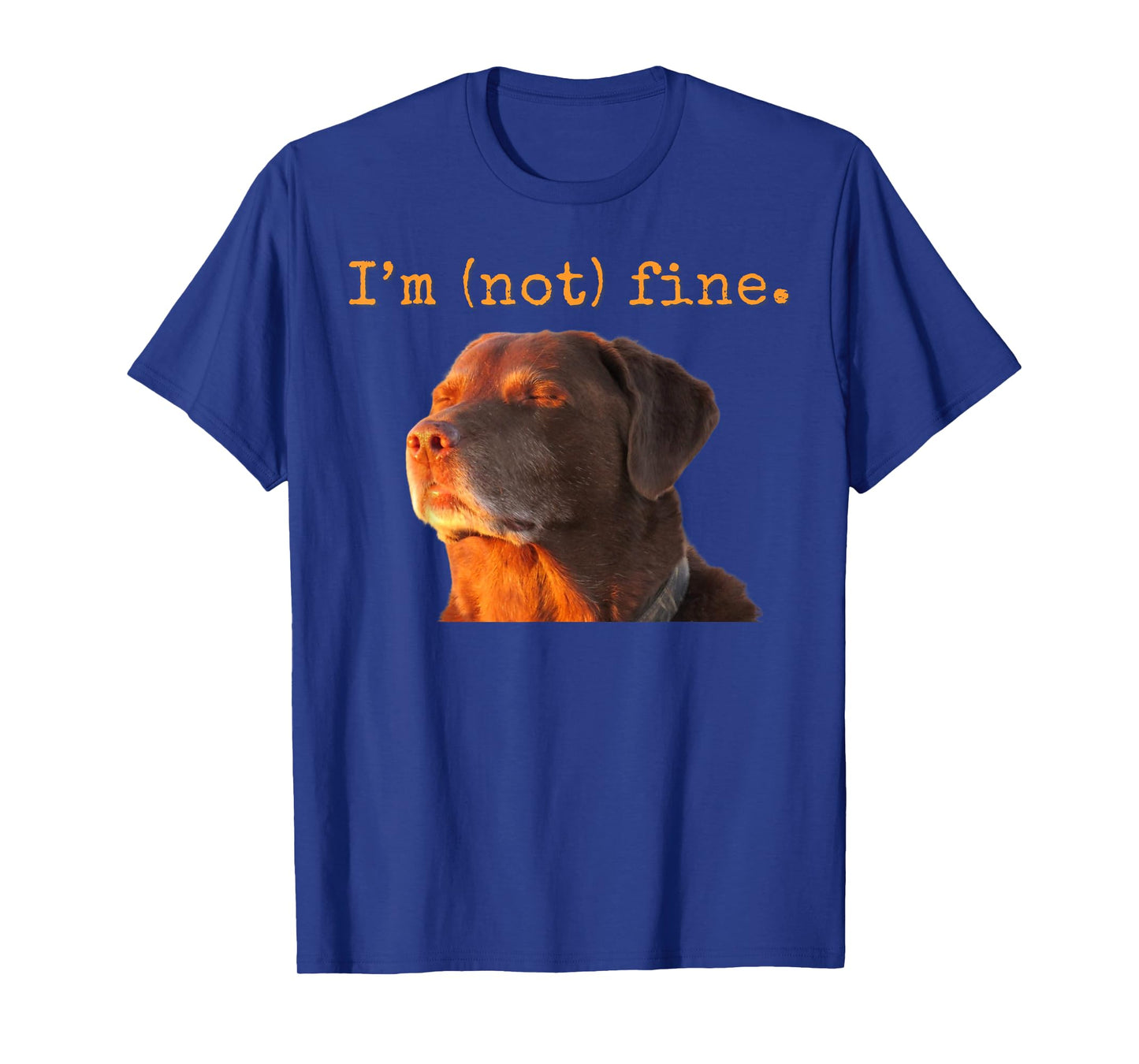 Cooked Dog Accepting Fate Closing Eyes Funny I'm Fine Meme T-Shirt