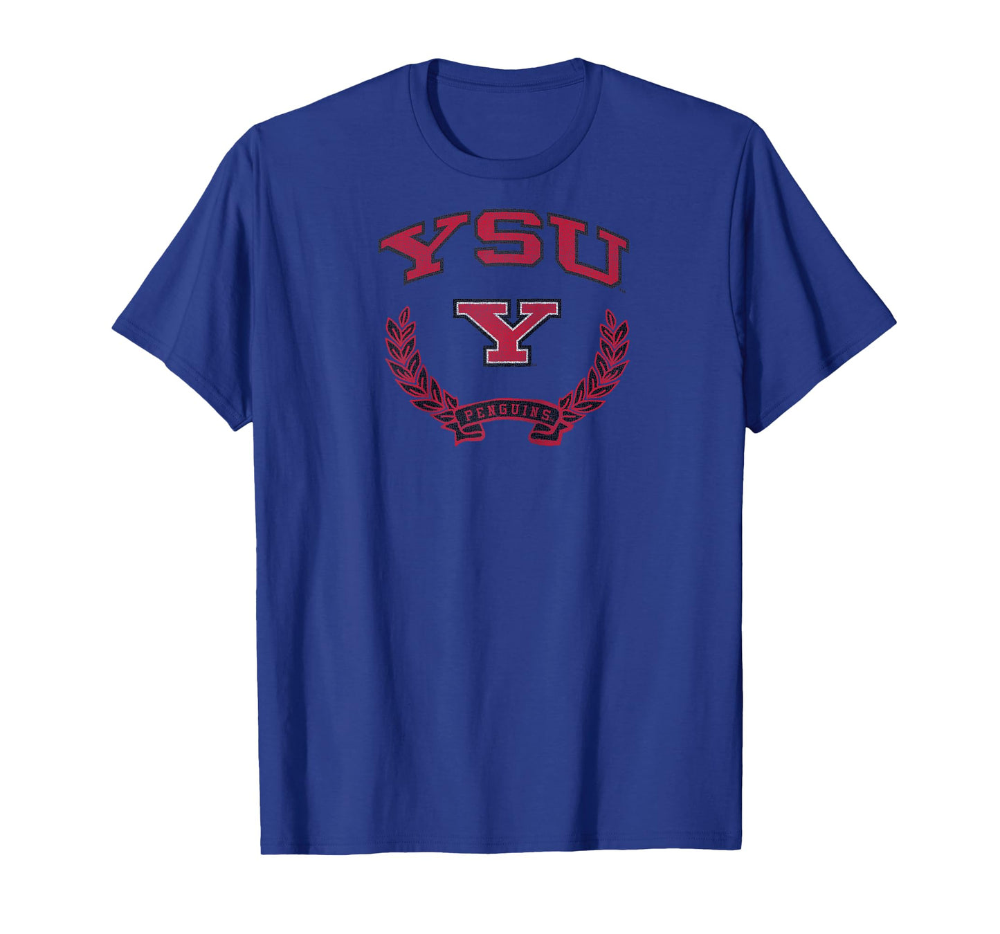 Youngstown State Penguins Victory Vintage Raglan Baseball Tee