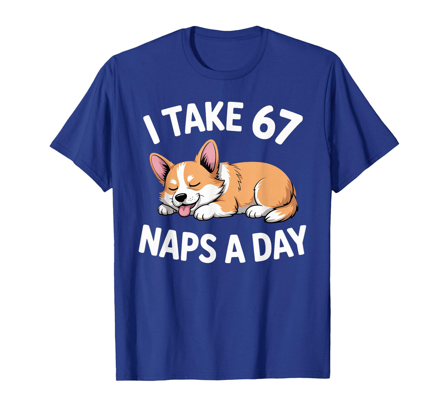 I Take 67 Naps A Day Funny Dog Corgi Six Seven Meme T-Shirt