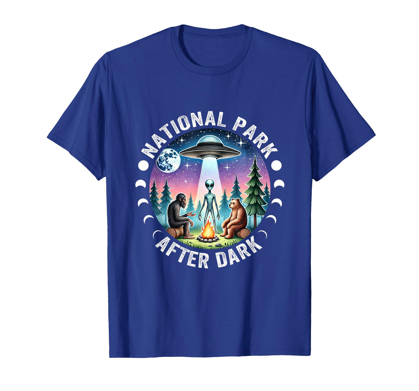 Vintage Retro Funny National Park After the Dark Big foot Alien Campfire T-Shirt, Small, Black