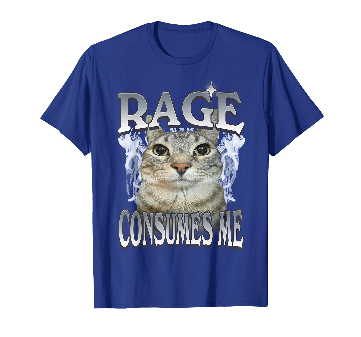 Rage Consumes Me Cat Meme Vintage Feline Funny Artwork T-Shirt
