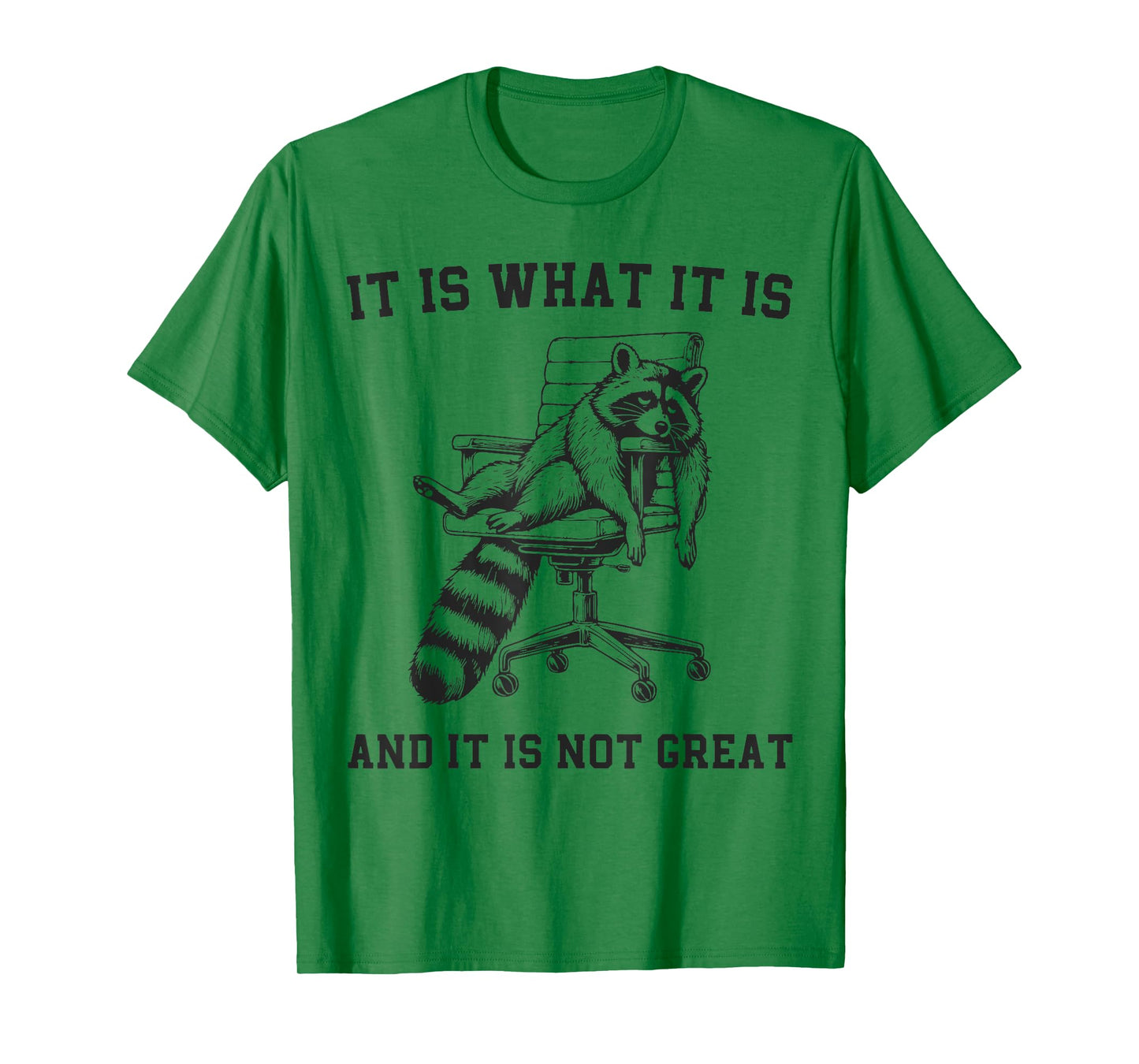 Raccoon It Is What It Is And It Is Not Great T-Shirt