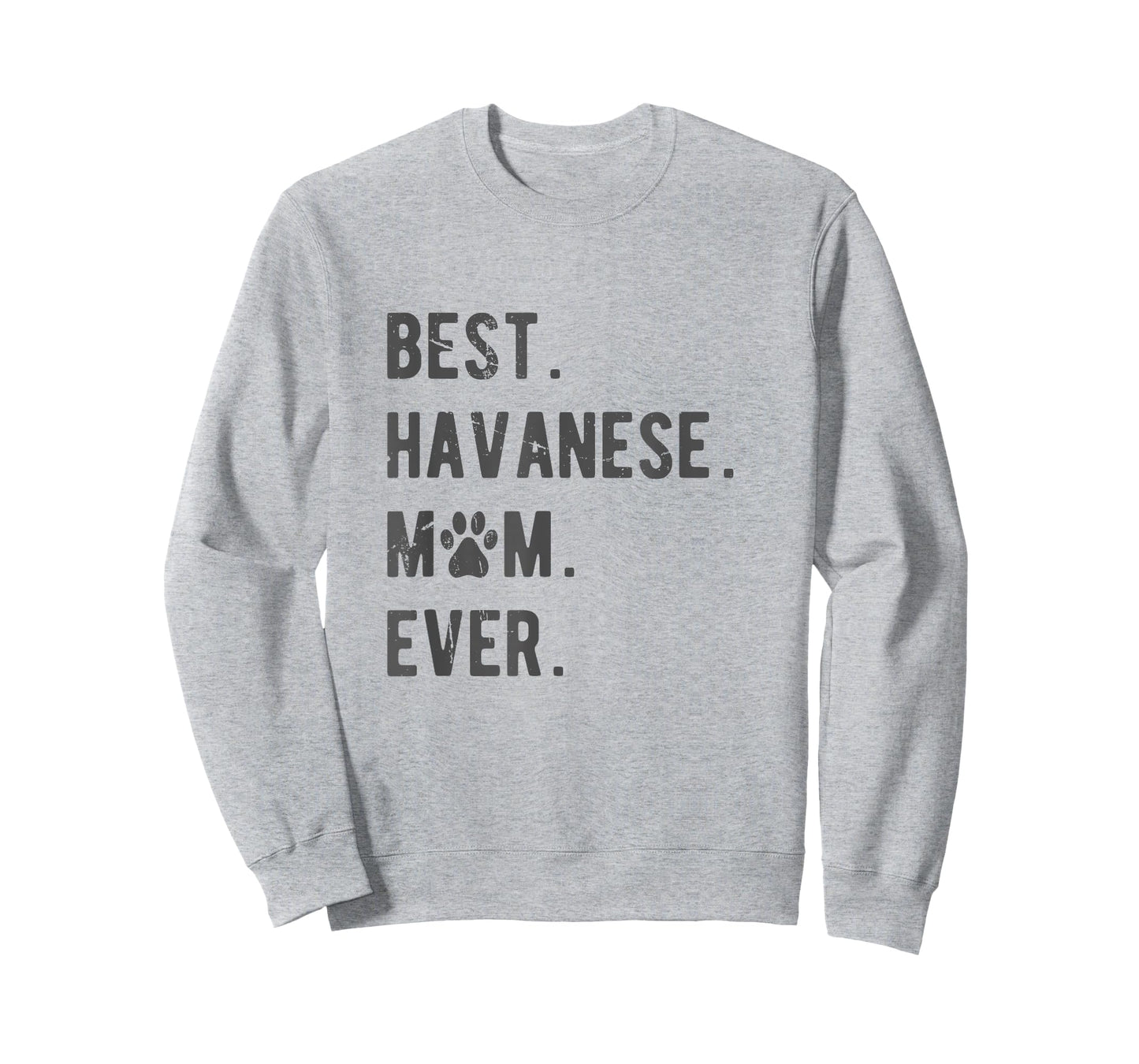 Best Havanese Mom Ever - Funny Havanese Dog Lover Gift Women T-Shirt