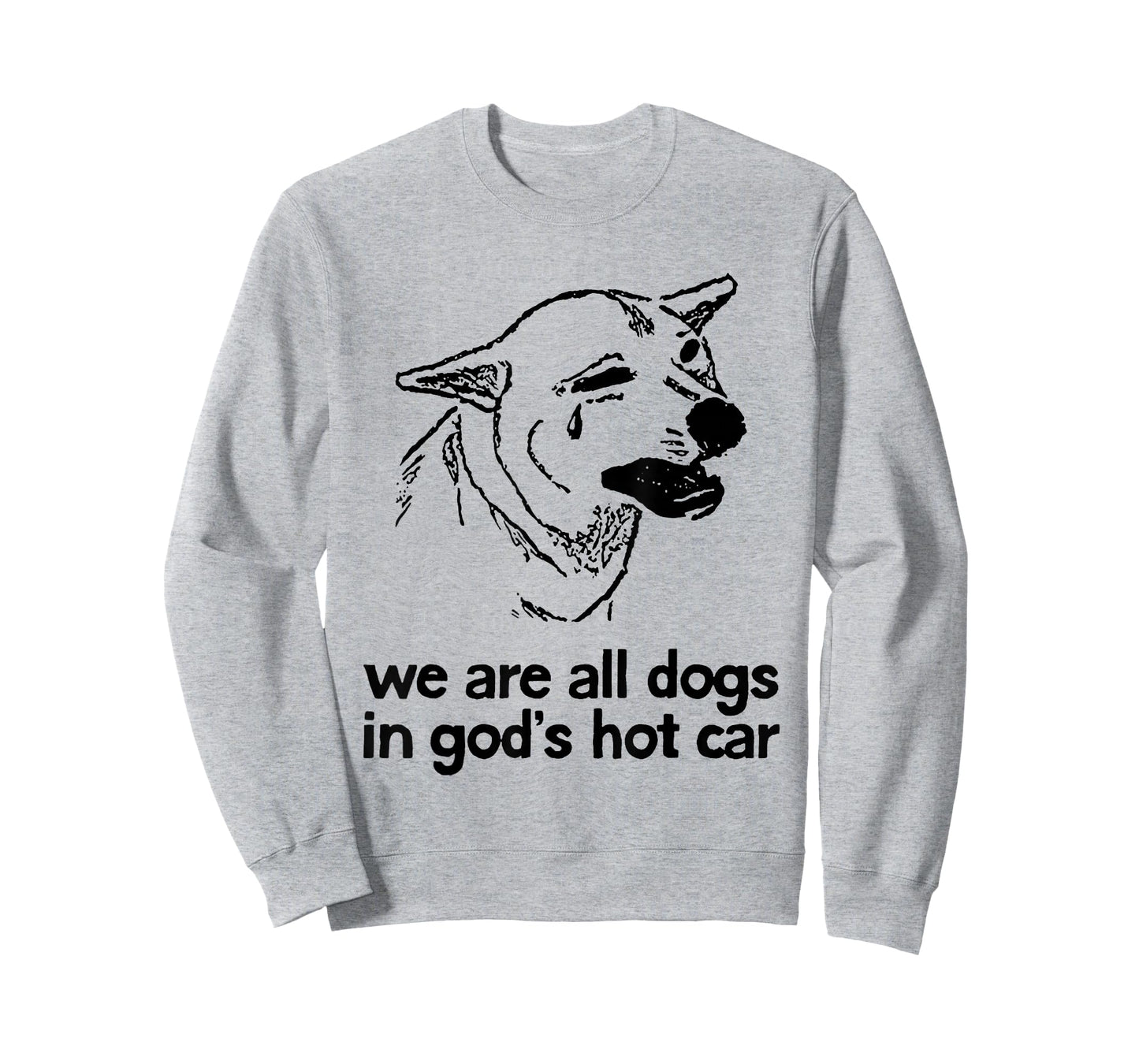 We are All Dogs in God's Hot Car Funny Dog Meme T-Shirt