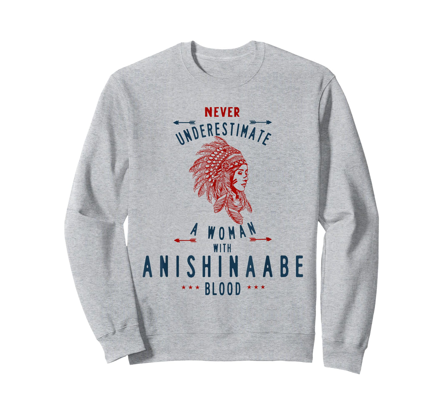 Anishinaabe Native American Indian Woman No Underestimate T-Shirt
