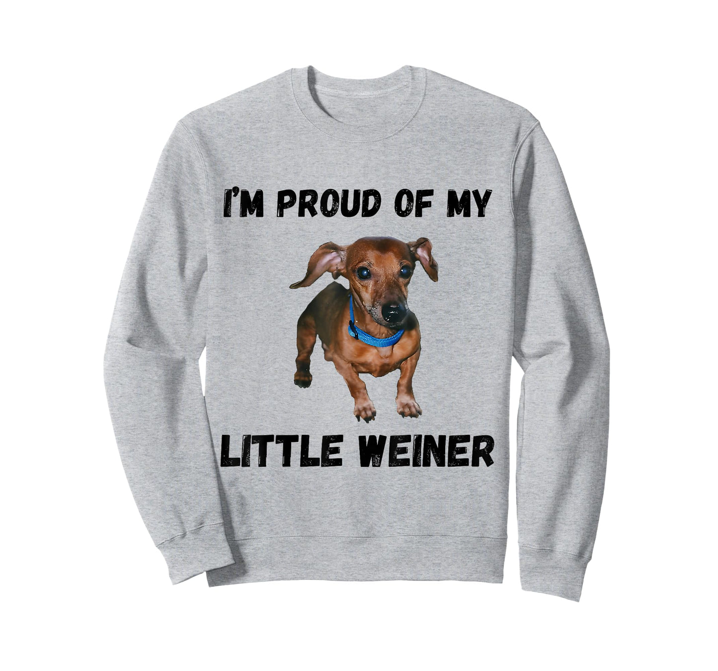 I'm Proud Of My Little Weiner Funny Dachshund Dog Lover T-Shirt