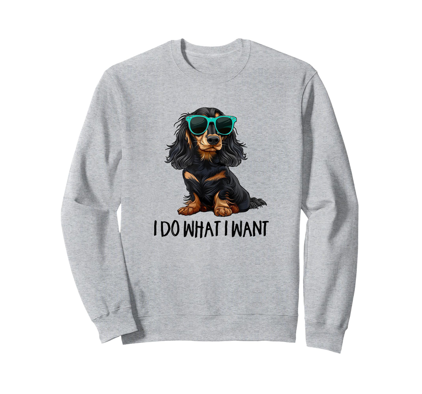 Funny Do What I Want Black Long Haired Dachshund Lover T-Shirt