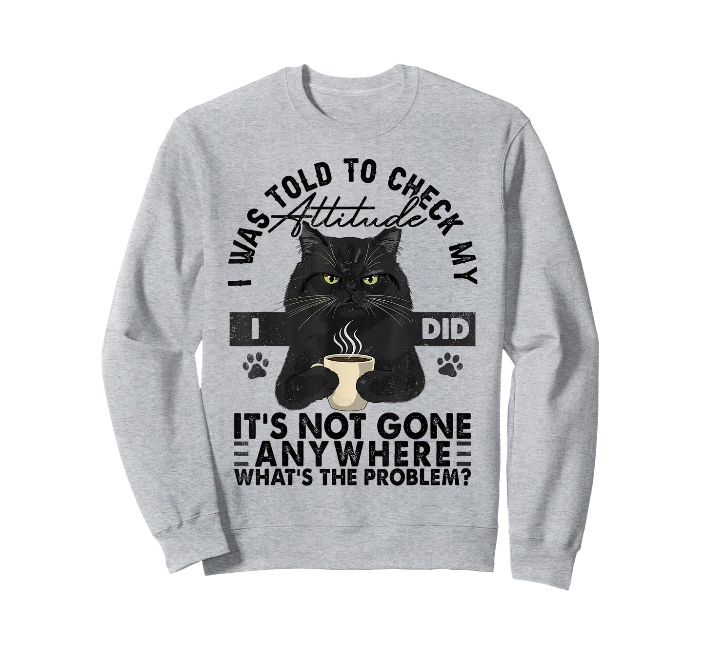 Grumpy Black Cat I Was Told To Check My Attitude Funny Cat T-Shirt