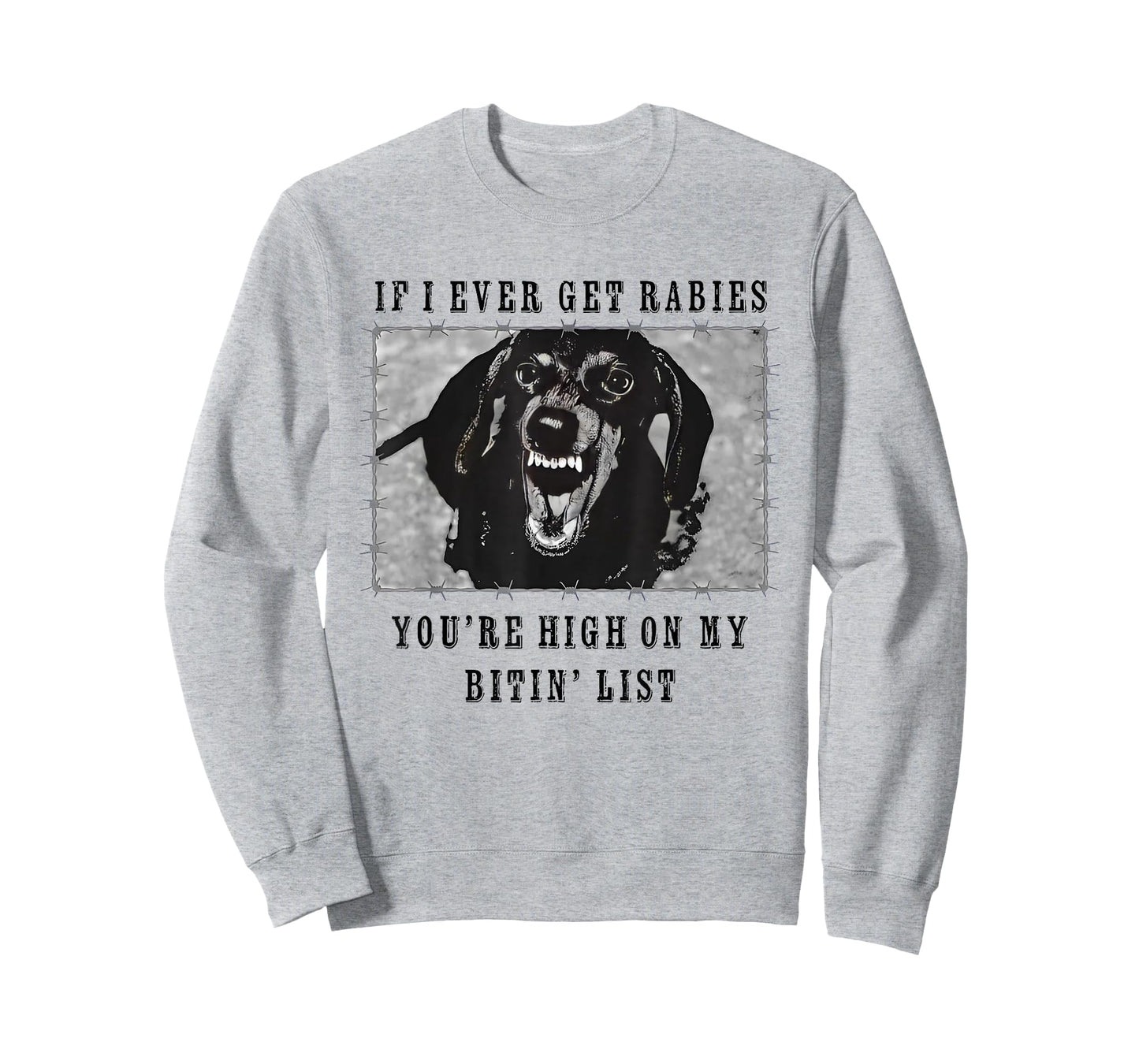 If I Ever Get Rabies, You're High On My Bitin' List Dachsund T-Shirt
