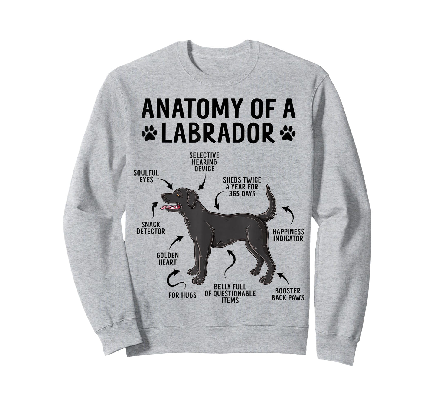 Anatomy Of A Labrador Funny Black Labrador Dog T-Shirt