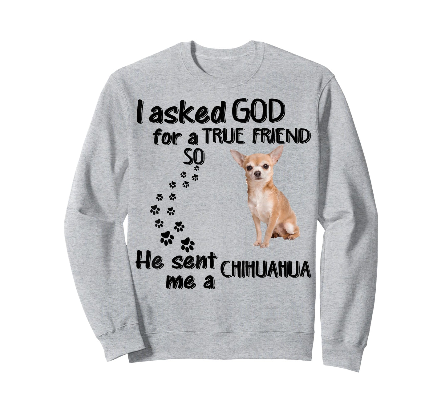 I Asked God for True Friend So He Sent Chihuahua T-Shirt