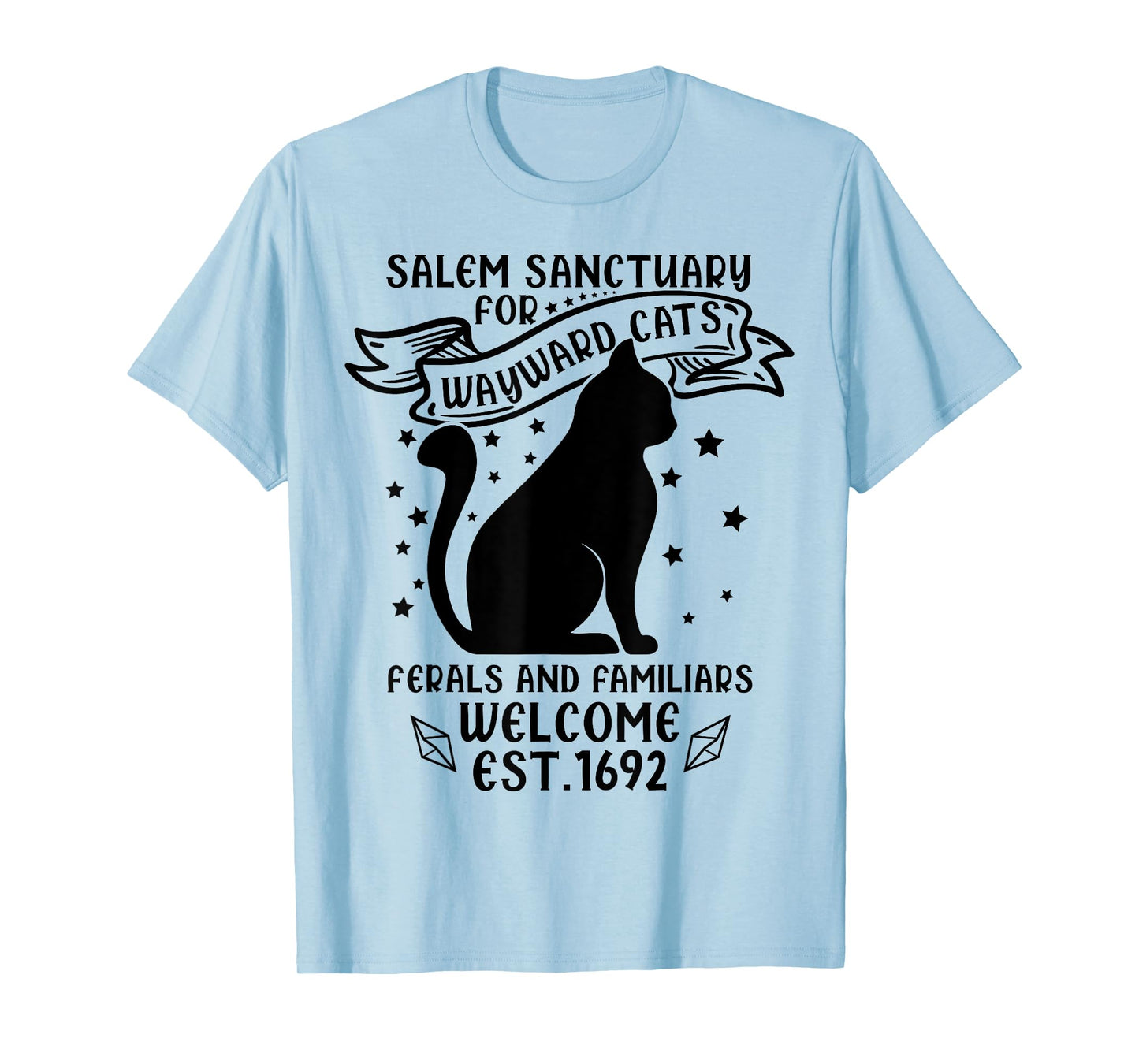 Funny Witch Salem Home for Wayward Black Cats 1692 Halloween T-Shirt